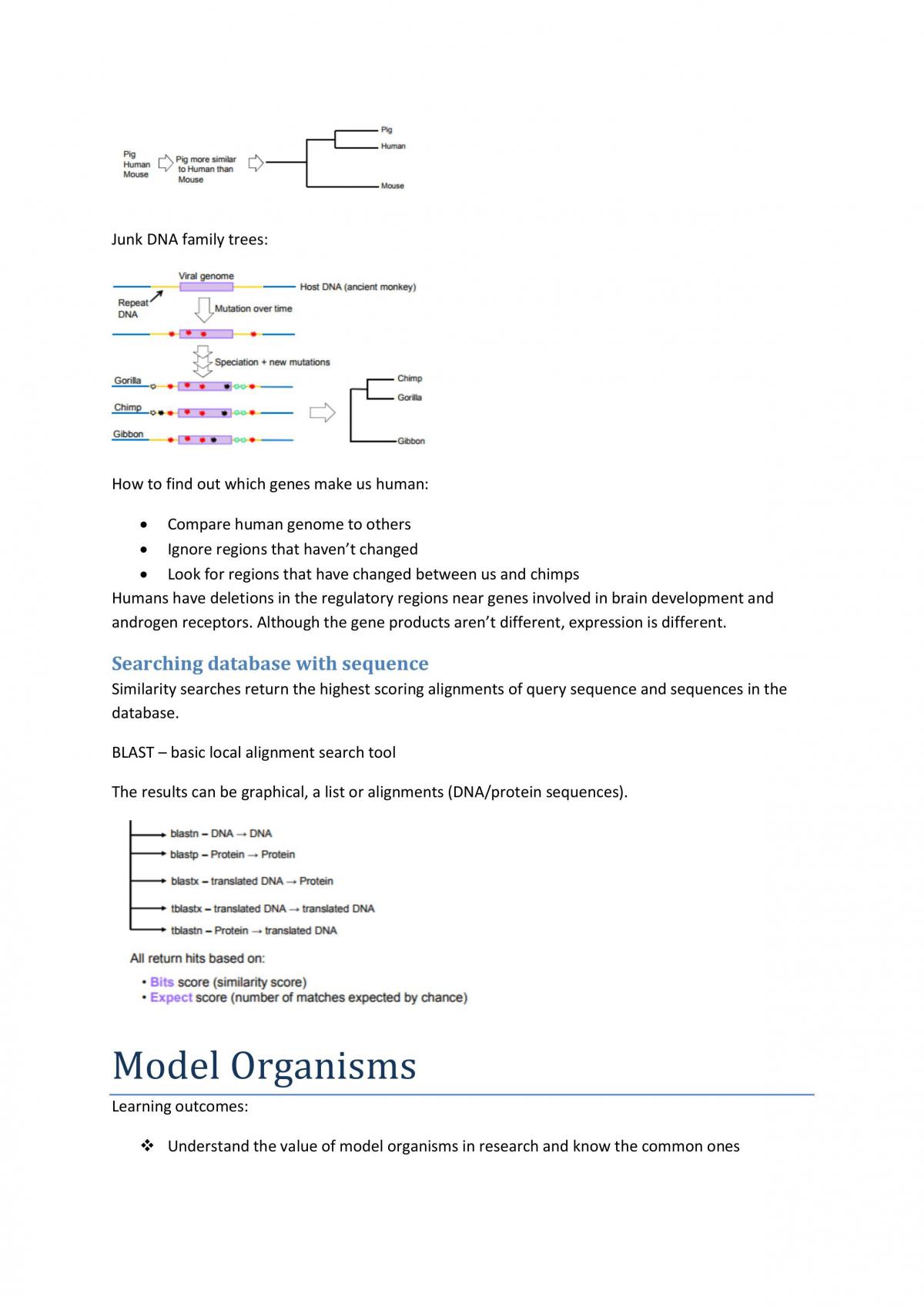 BIOL1020 Study Notes - Page 24