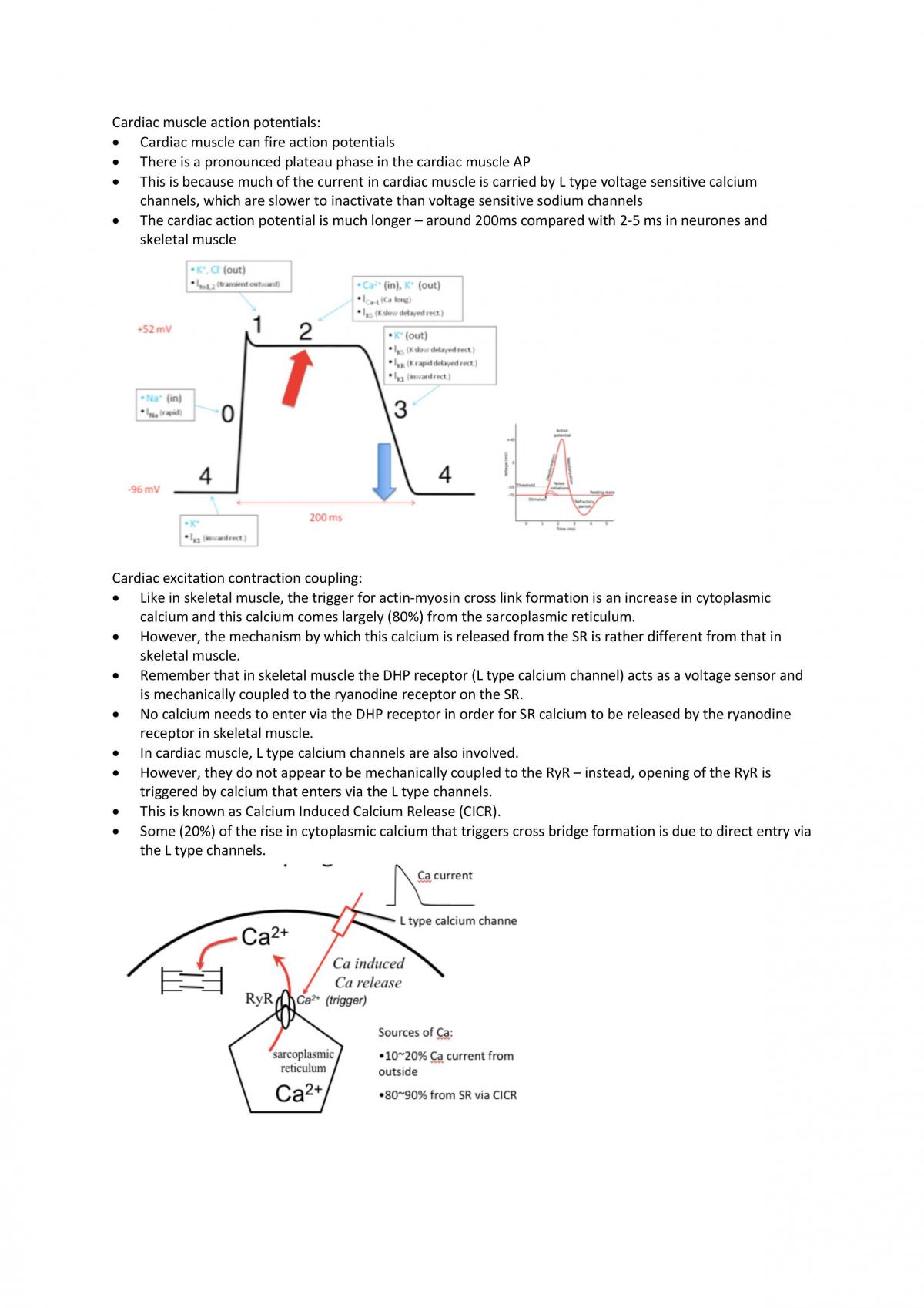 Excitable Cells revision notes - Page 5
