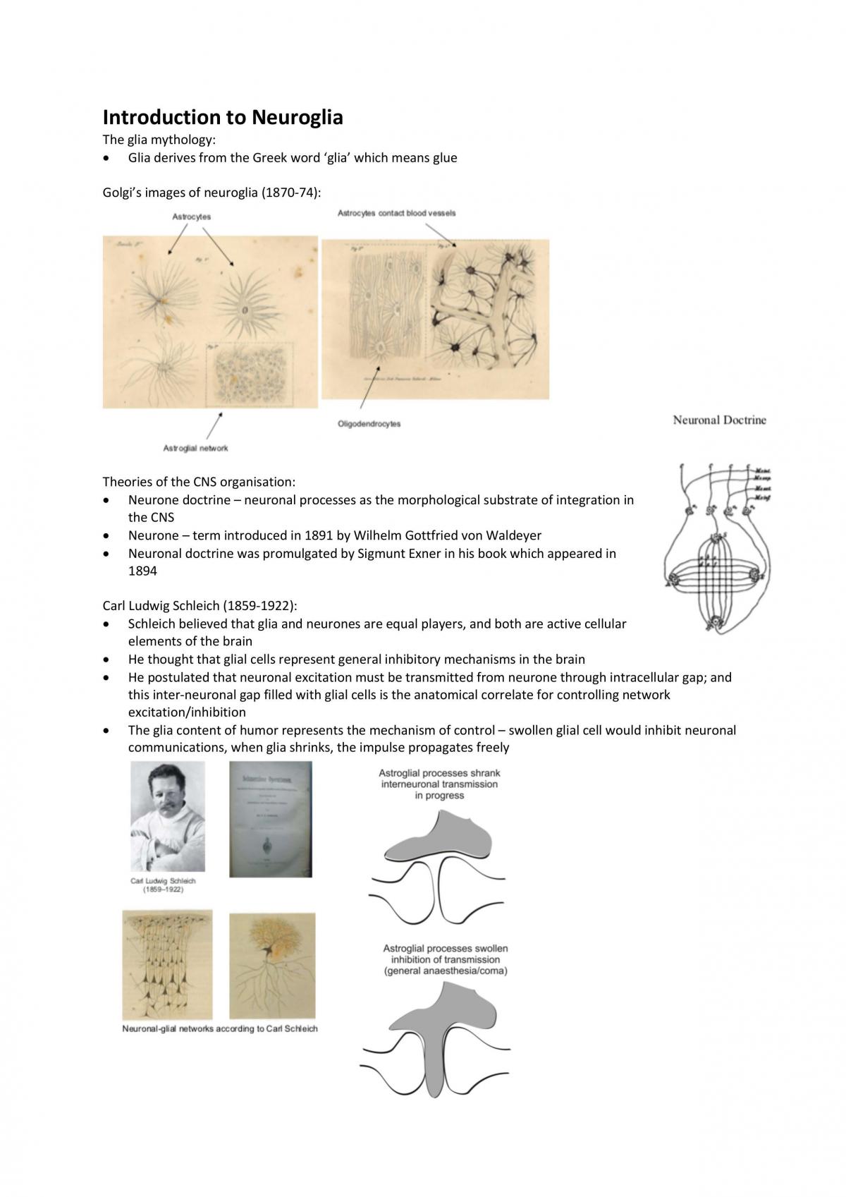 How to Make a Brain revision notes - Page 13