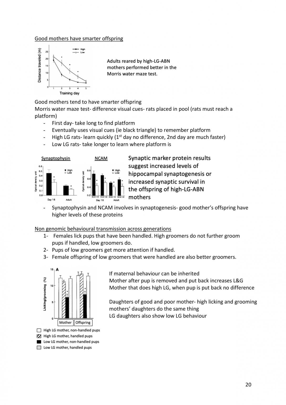 Hormones and Behaviour revision notes - Page 20