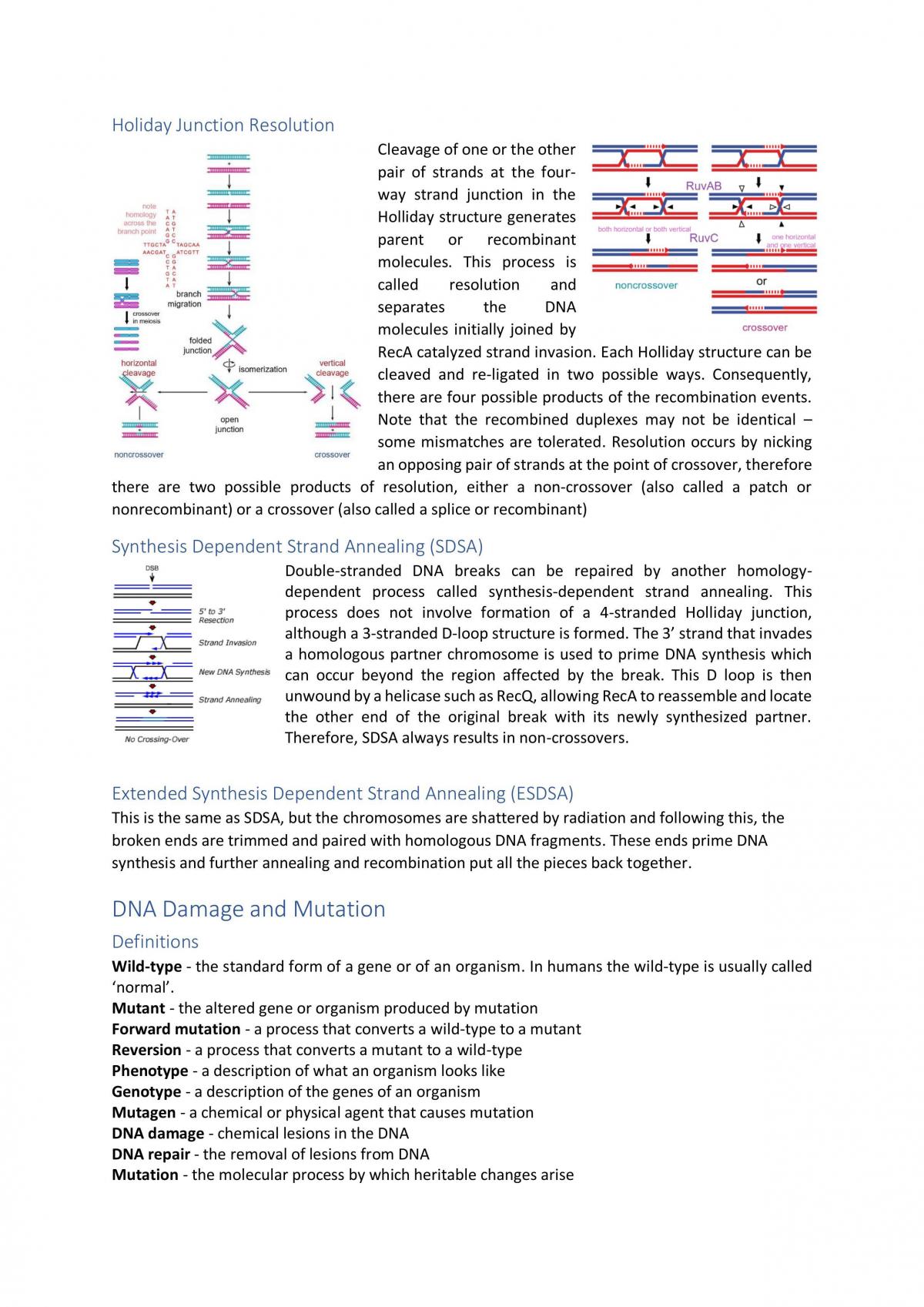 Genetics - DNA Replication - Page 19