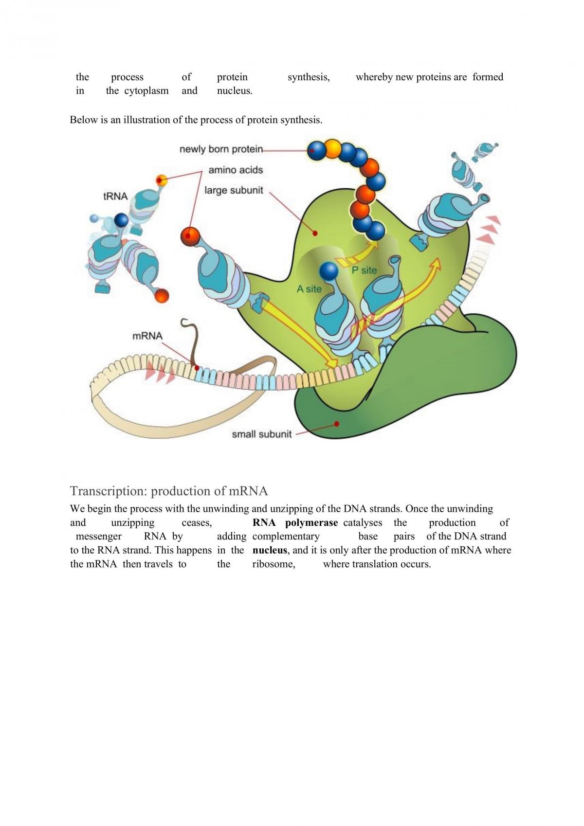 Year 11 Chemistry Notes - 2018 - Page 41