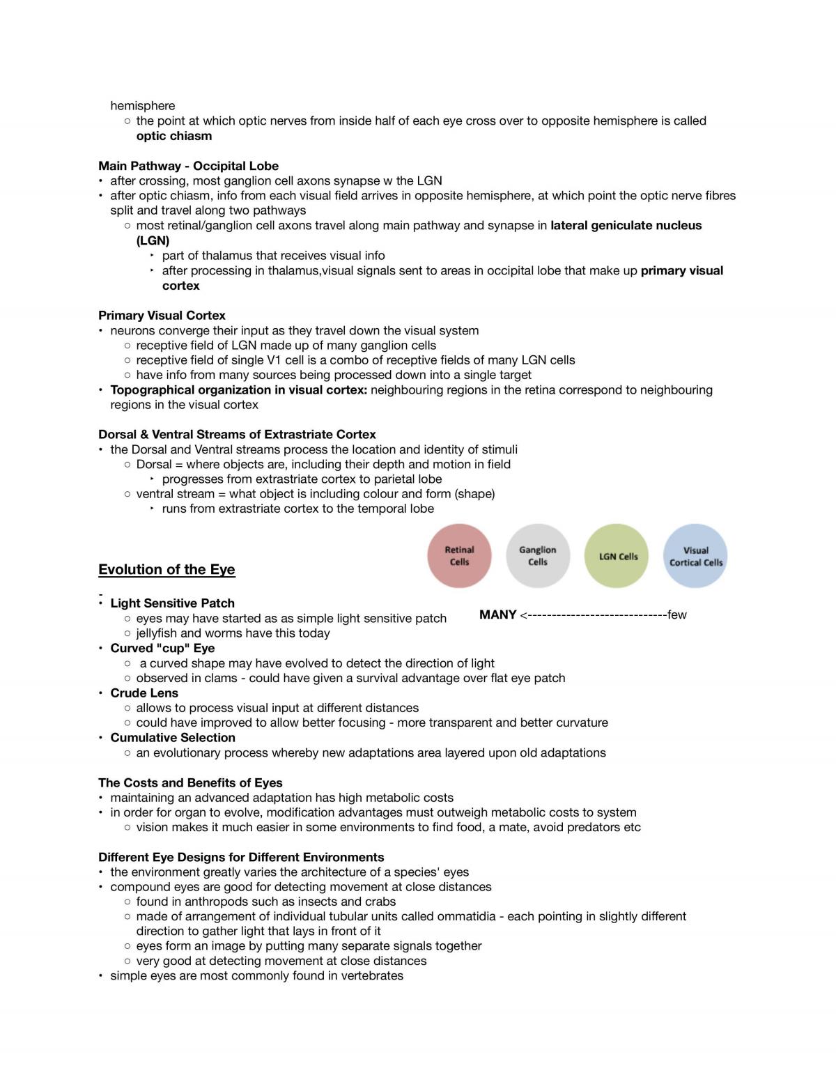 Complete Neuroscience Module Notes - Page 37