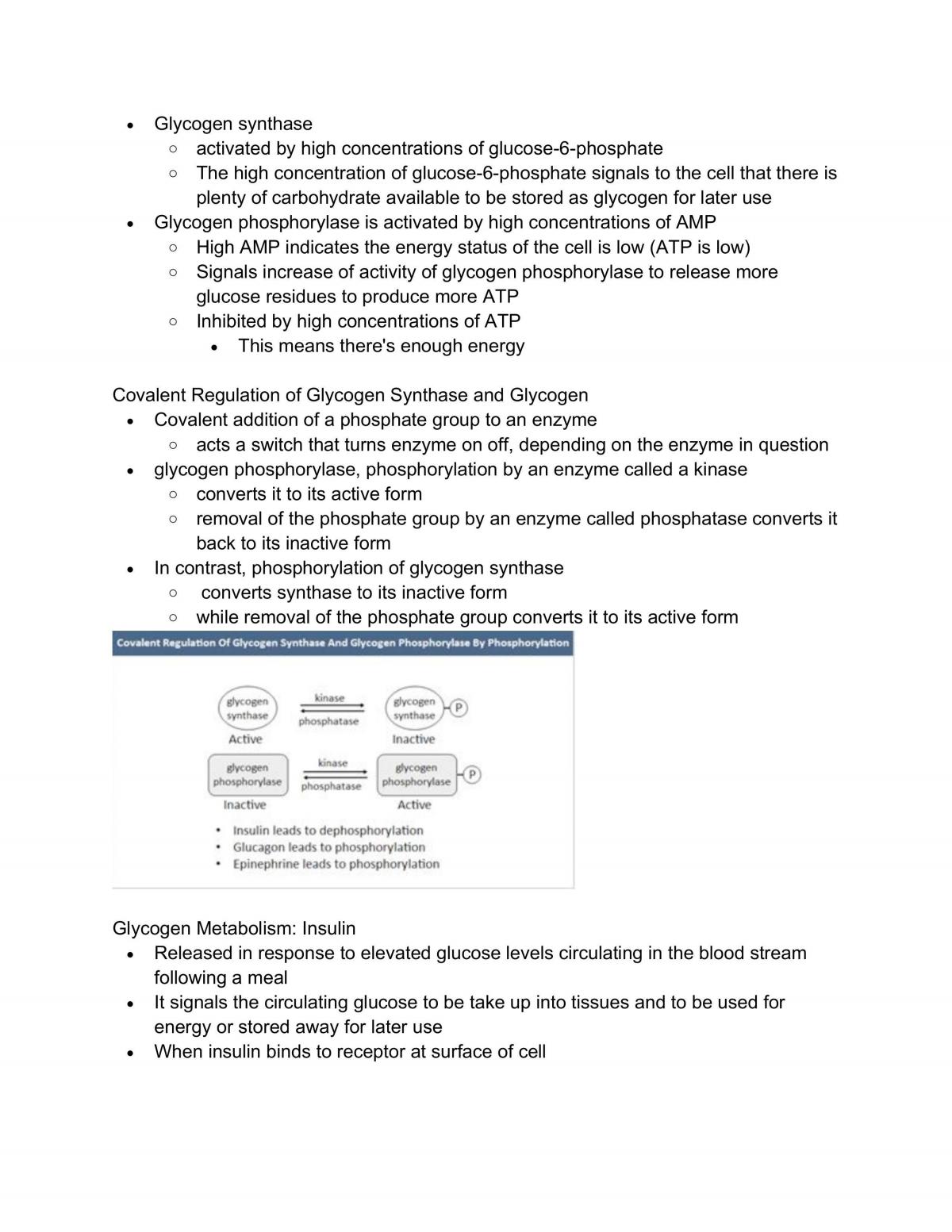 Complete notes for Metabolism and Physiological Chemistry - Page 57