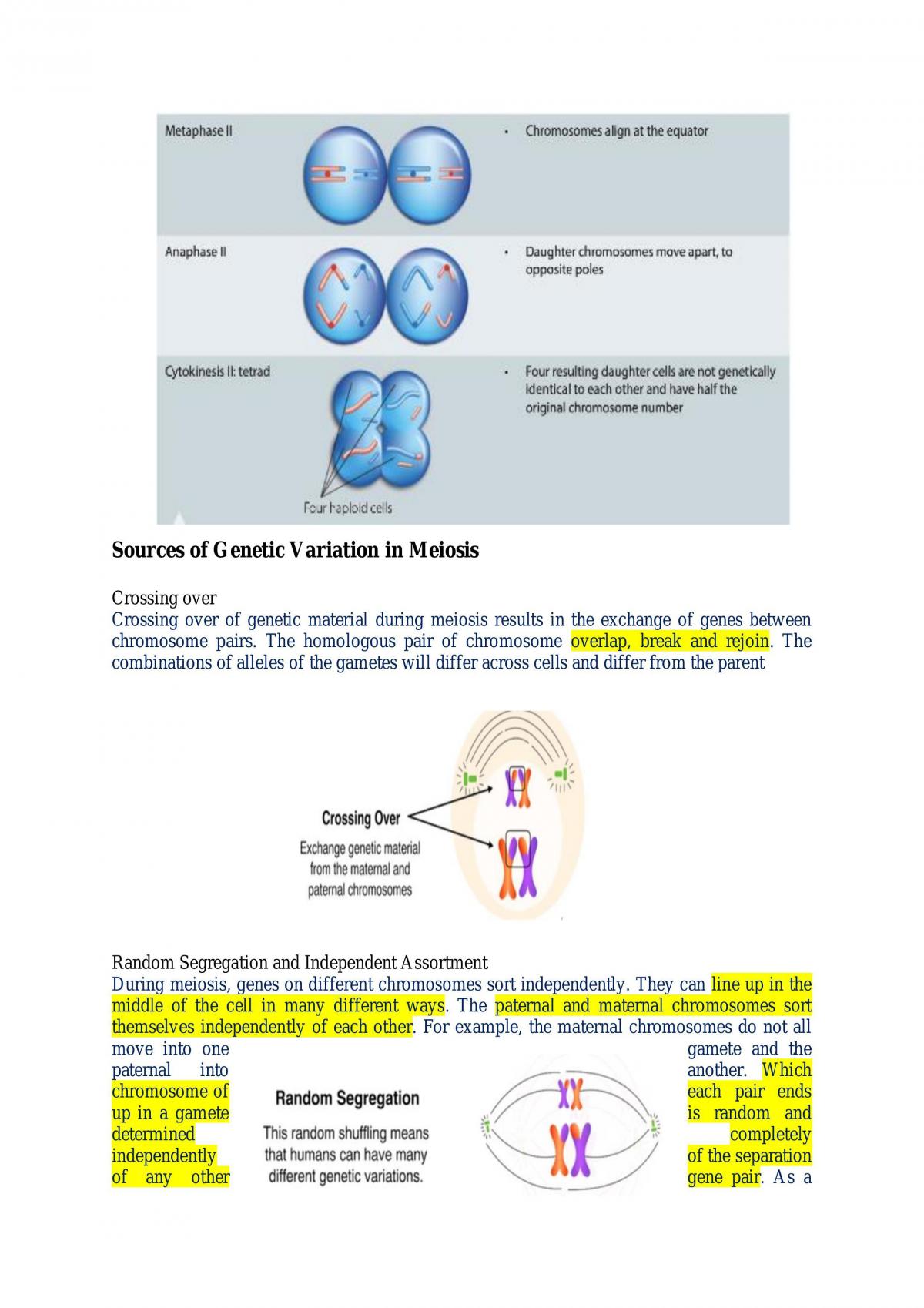 Module 5: Heredity Notes - Page 41