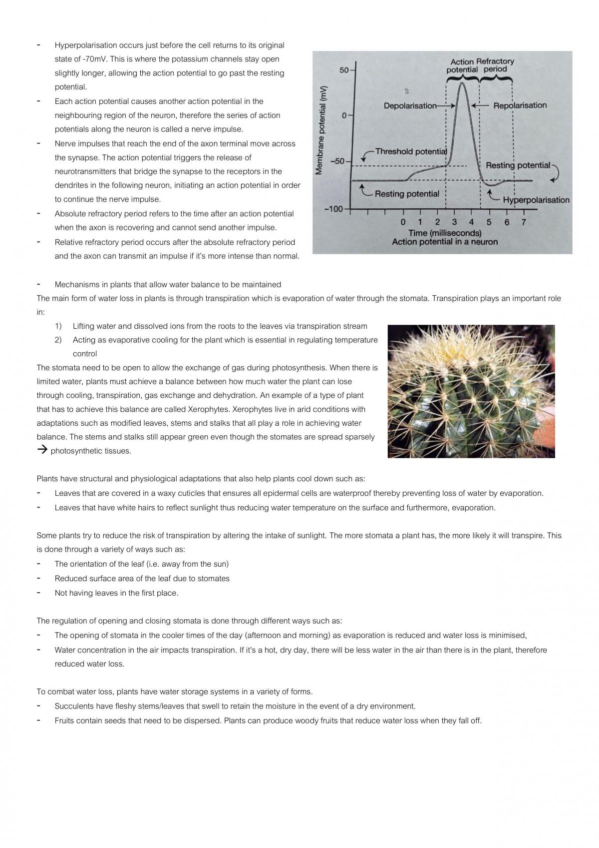 Biology HSC Notes - Page 33