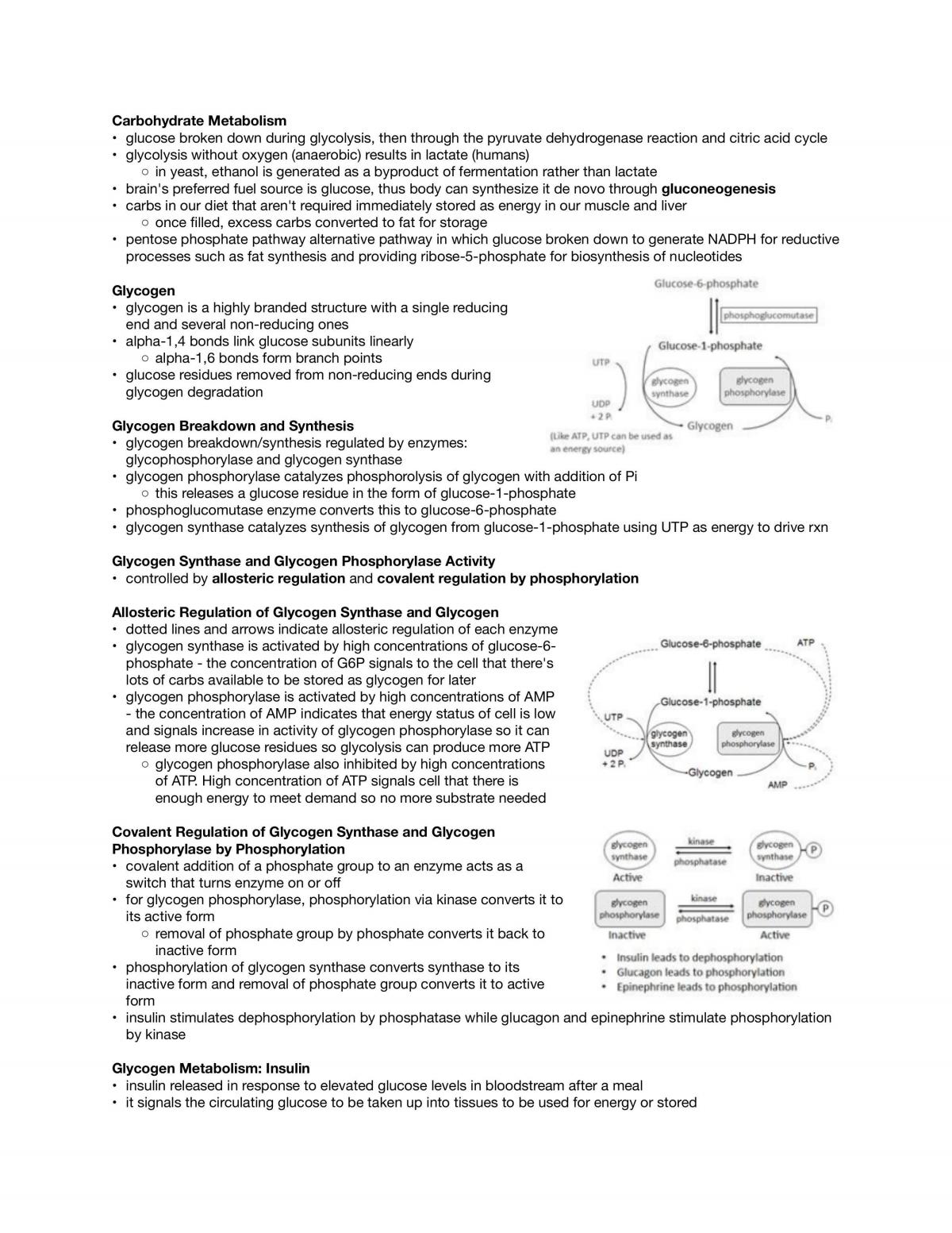 Full Biochemistry Notes - Page 22