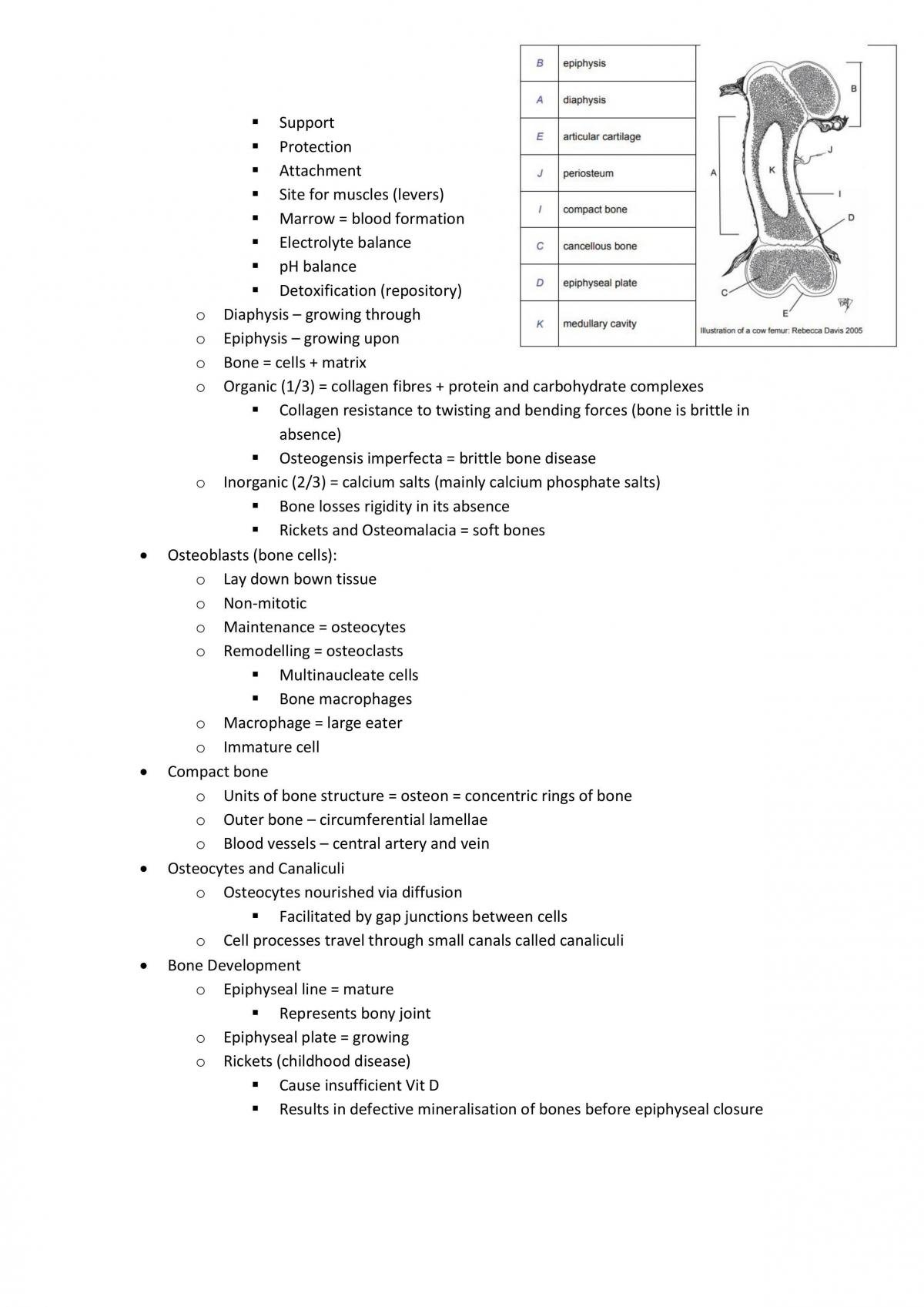 ANHB1101 study notes - Page 68