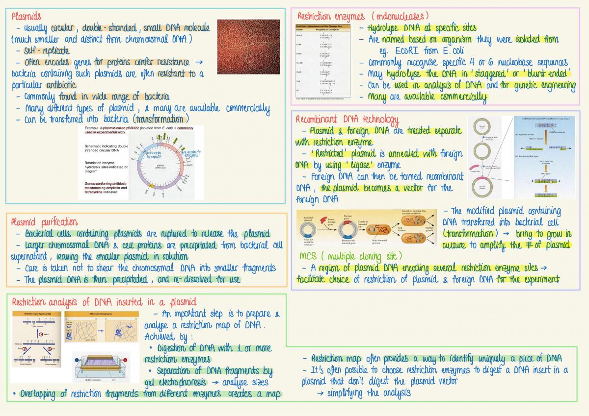 Biochemistry (for BMLSc) Notes (3-24) - Page 47