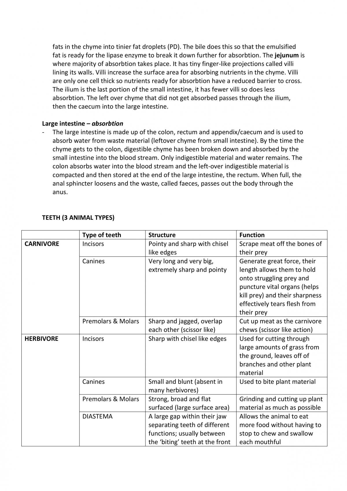 Level 1 Biology Notes - Externals  - Page 16
