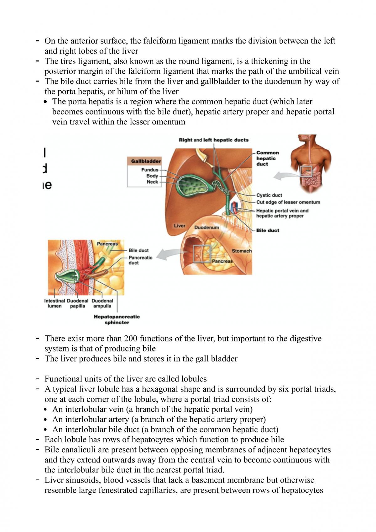 HUBS192 - Complete Study Notes - Page 84