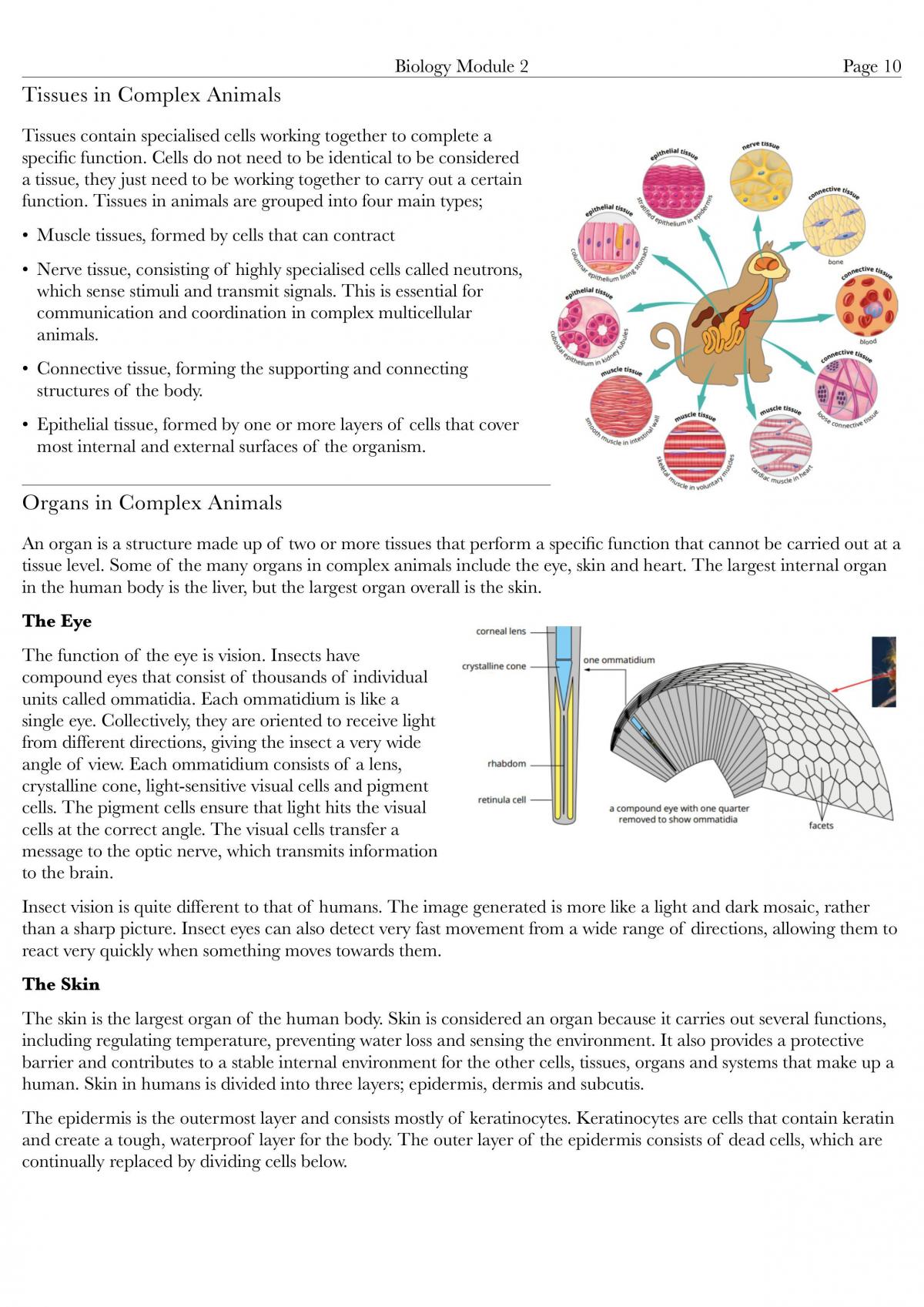 Bio Module 2 Complete Study Notes - Page 10