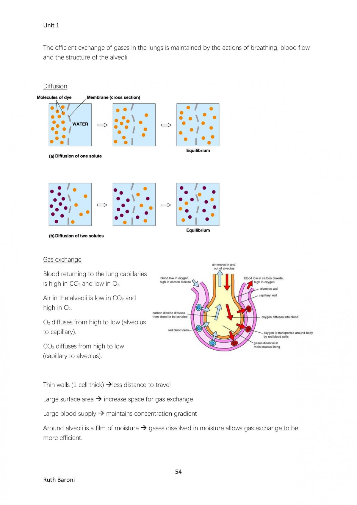 Unit 1 Human Bio Notes  - Page 54