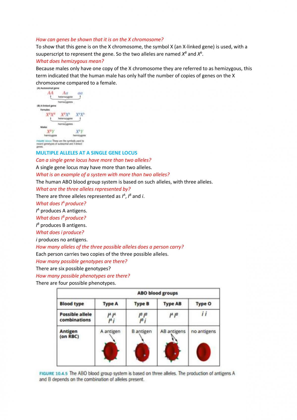Unit 1&2 Biology Chapter 11 Study Notes - Page 19