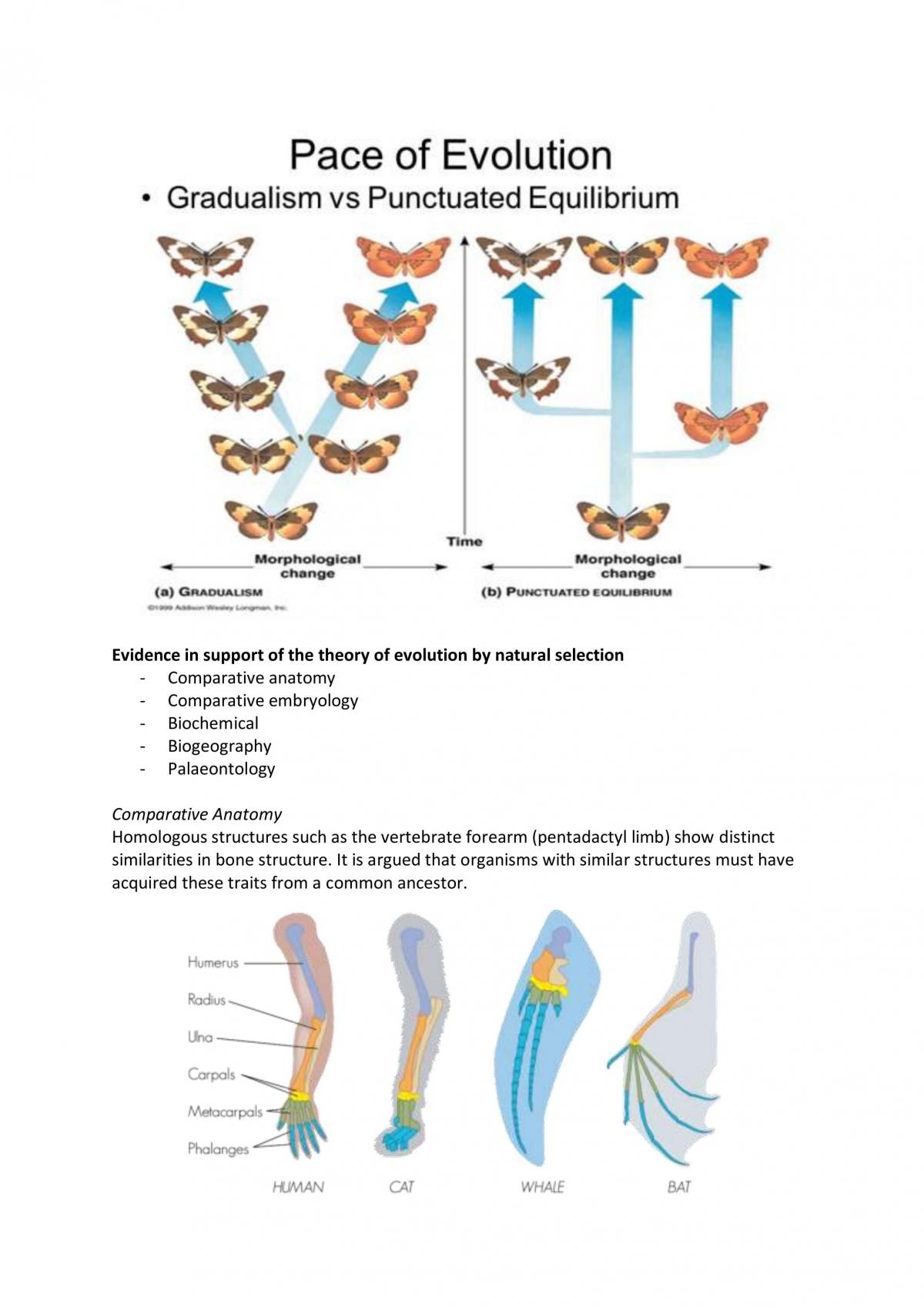 Year 11 Biology Study Notes - Page 25