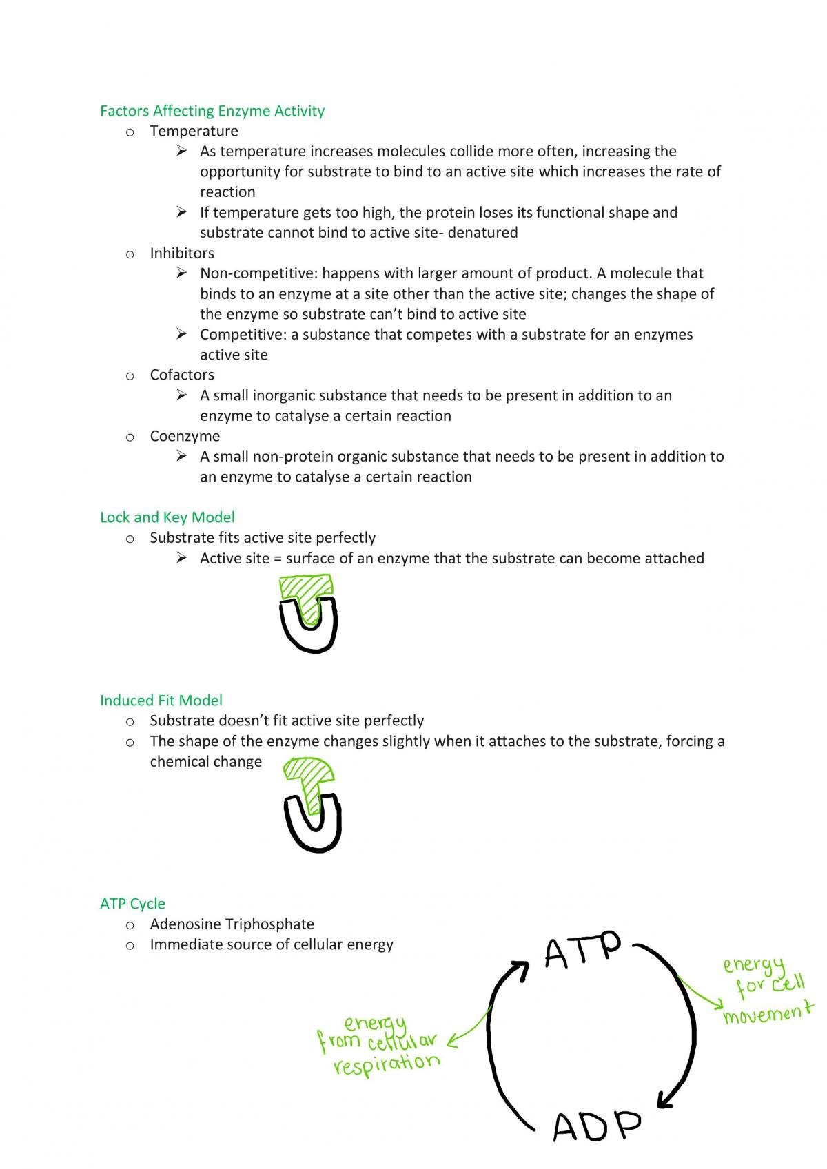 Year 11 ATAR Biology Unit 1 & 2 Exam Revision  - Page 18