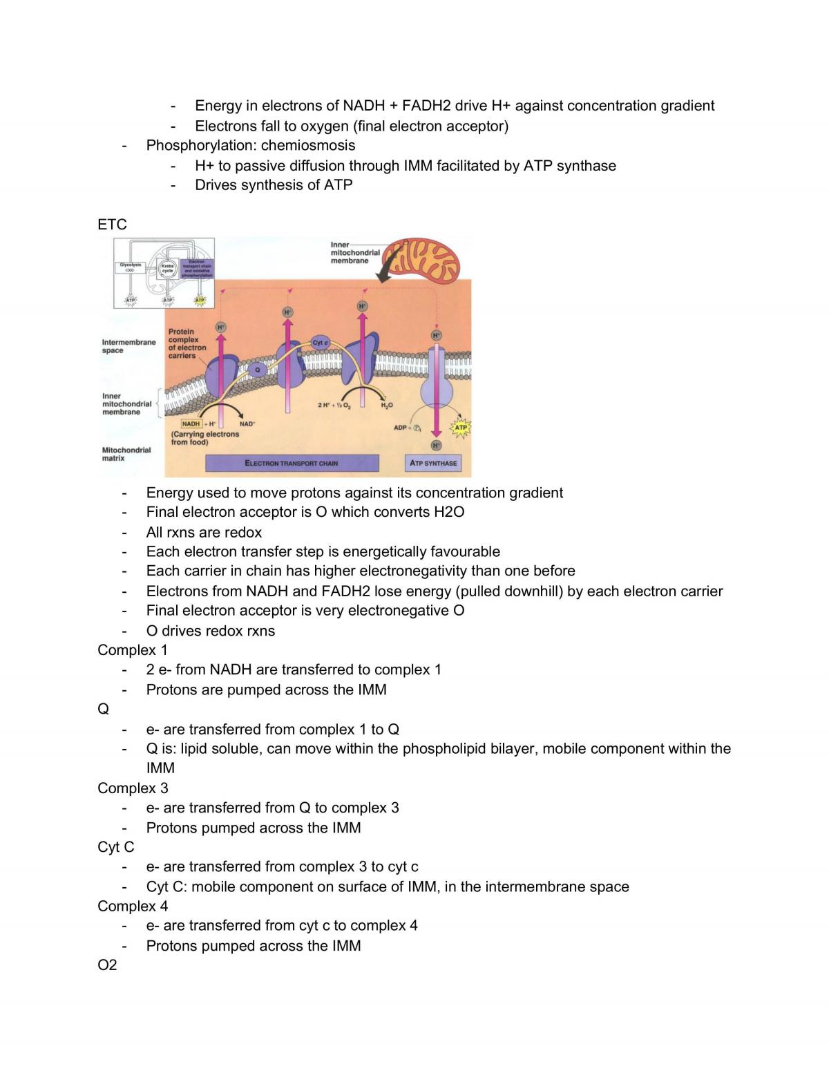 Grade 12 Biology Complete Notes - Page 58