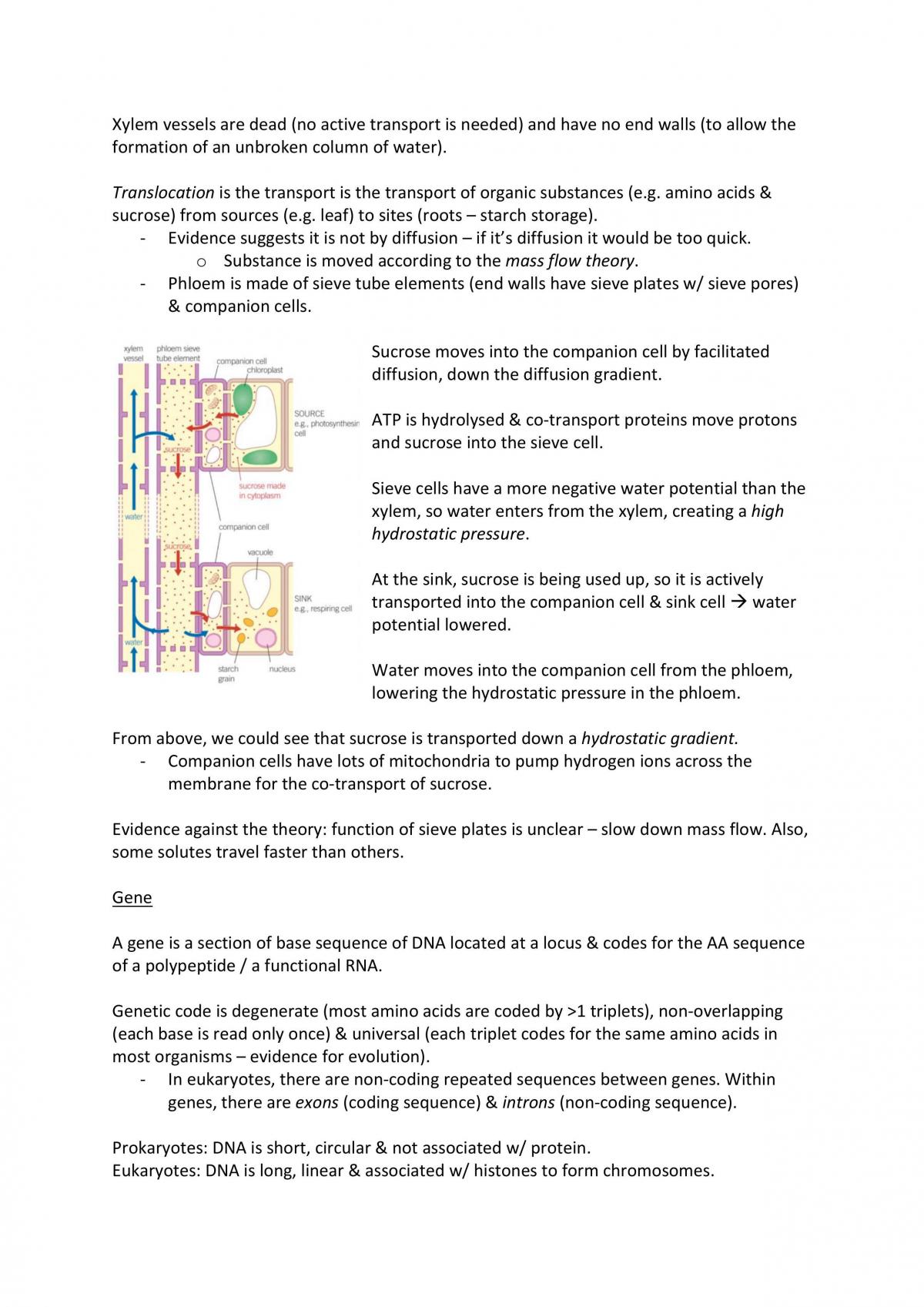 Biology Notes - Page 22
