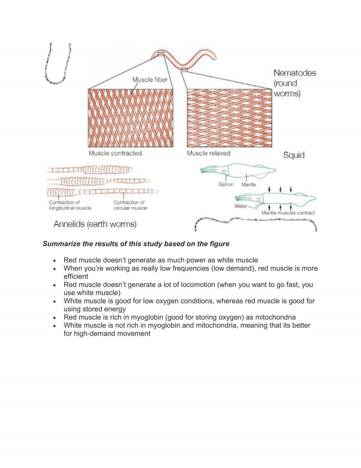 BIIO202 Notes - Page 43