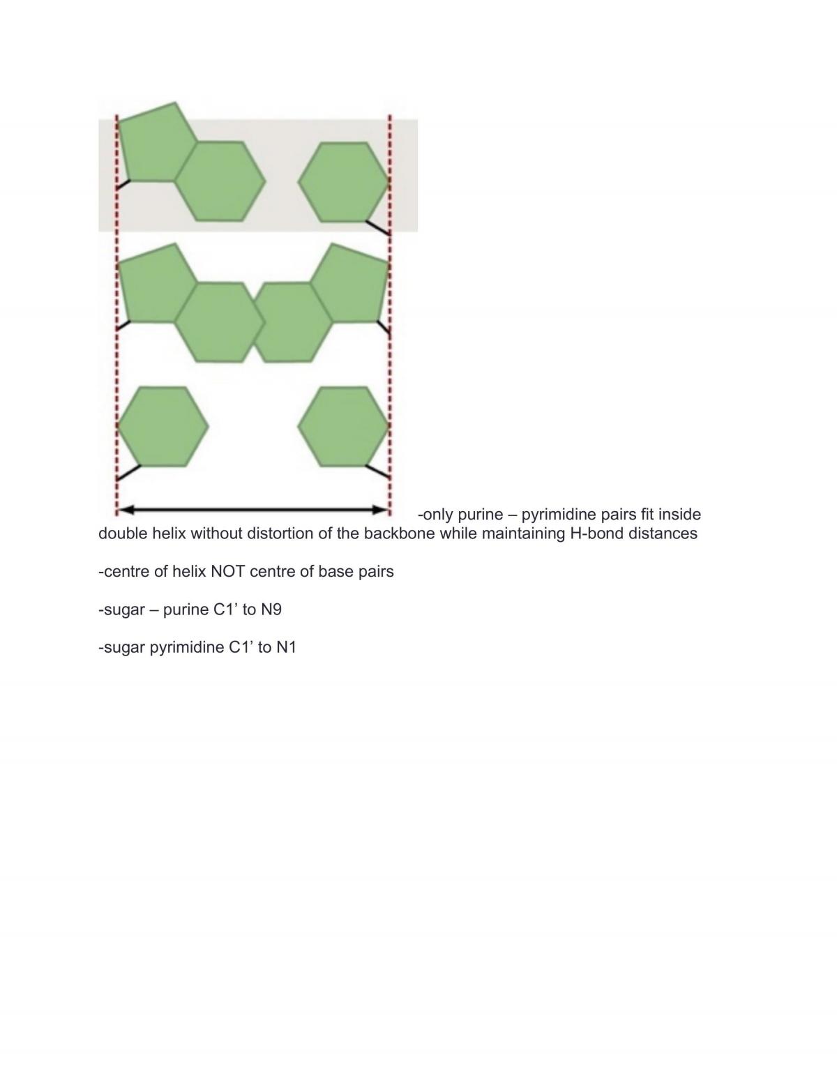 BIO206 Notes - Page 49