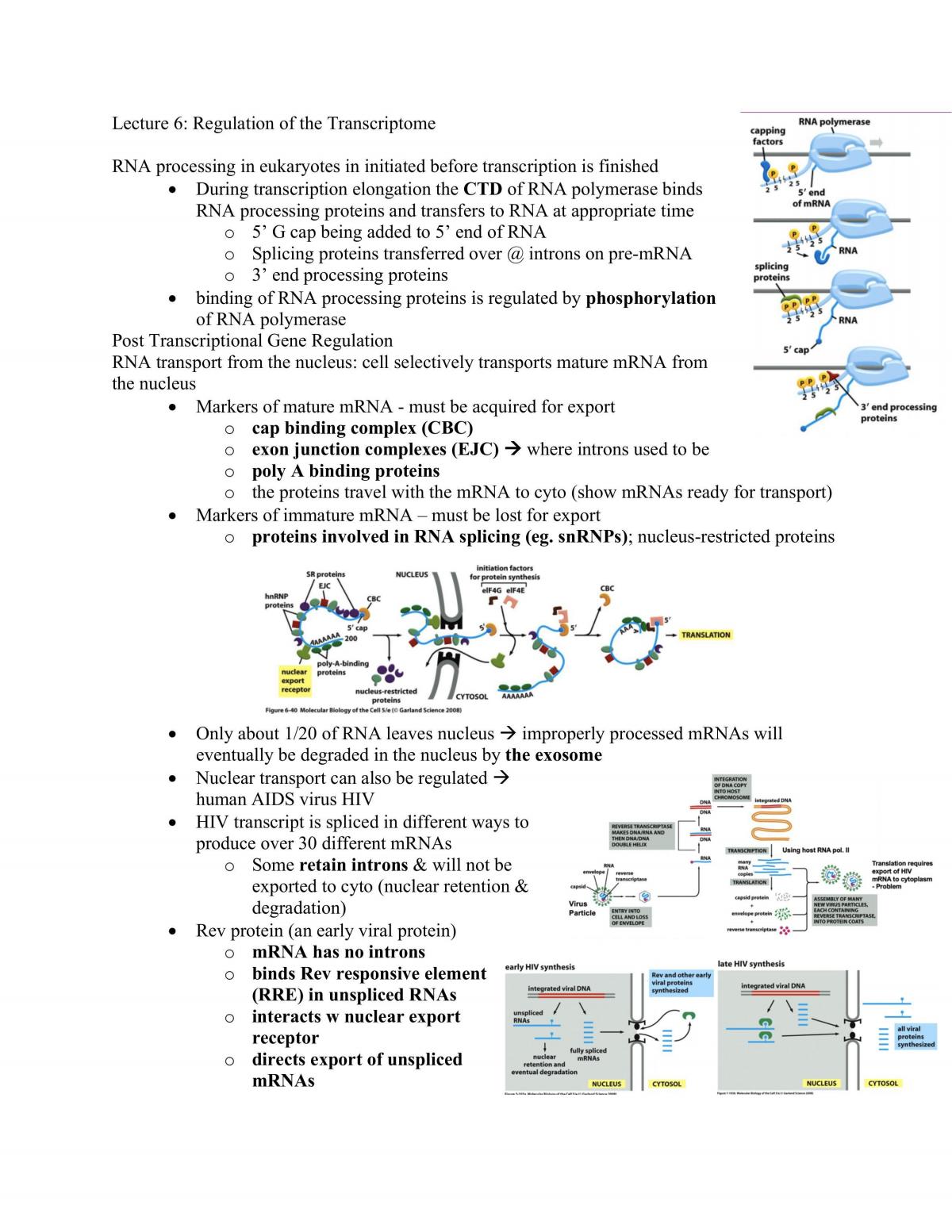 BIO230 Complete Study Notes (entire semester) - Page 18