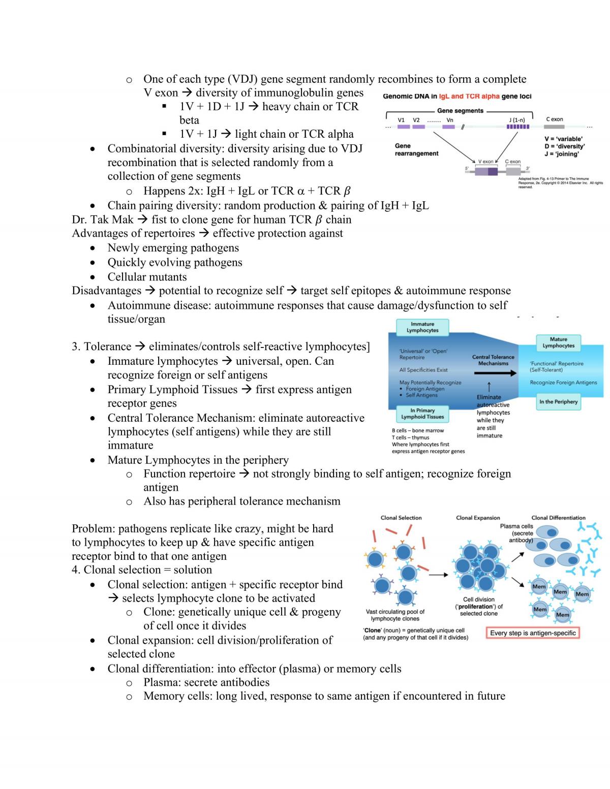 IMM250 Study Notes - Page 18