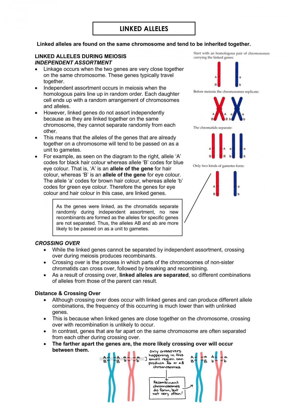 Level 2 Biology External Notes (All 3 Standards) - Page 22