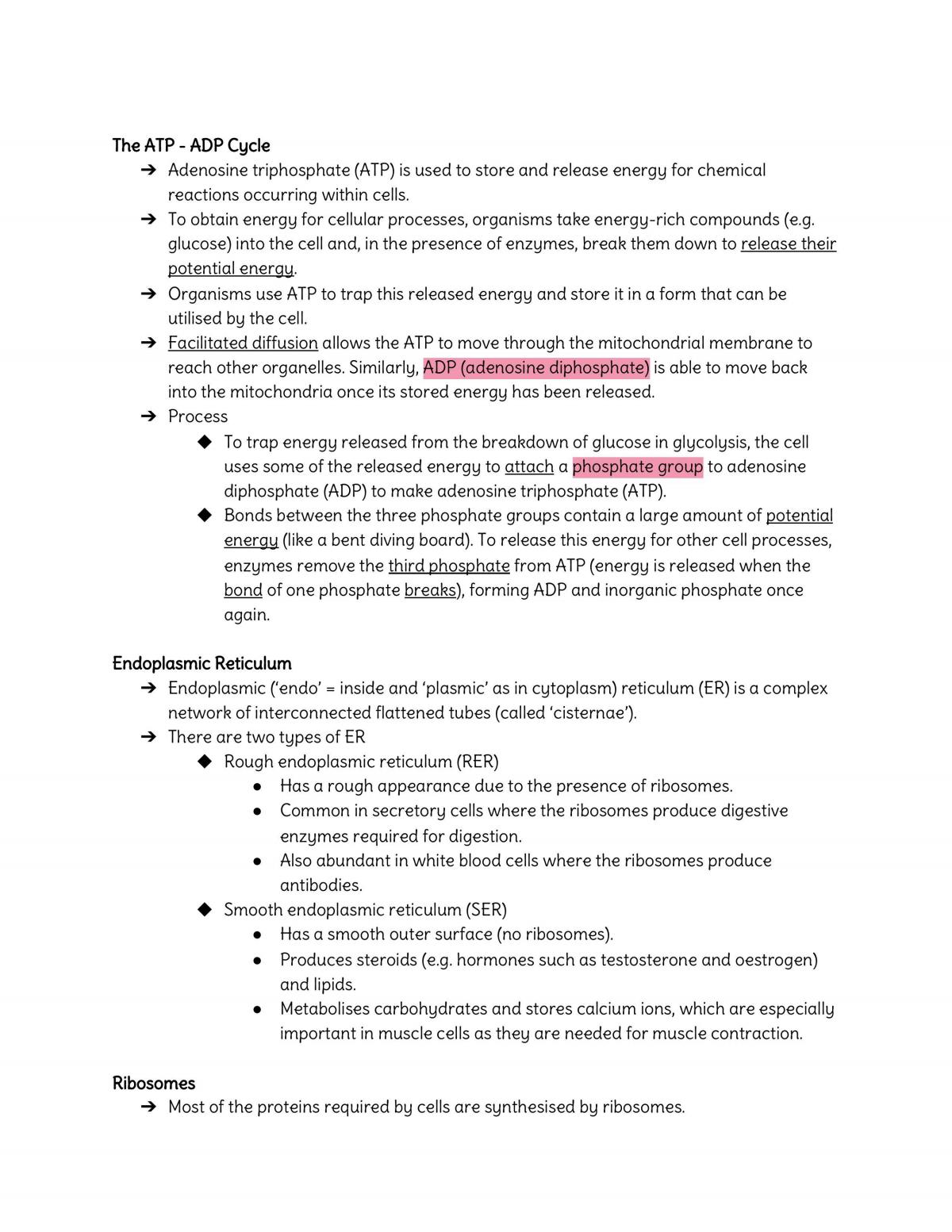 L2 Biology Notes - Page 36