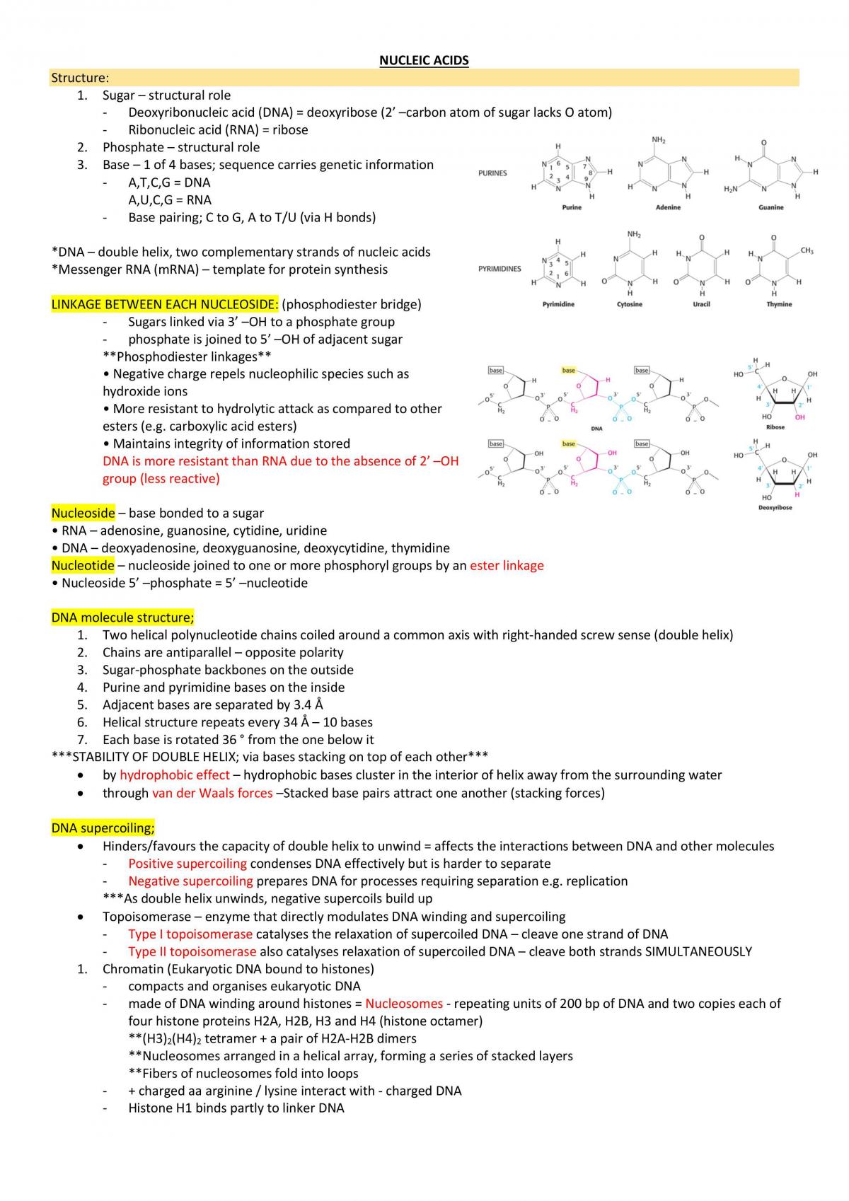 Molecular Cell Biology LSM1106 notes - Page 19