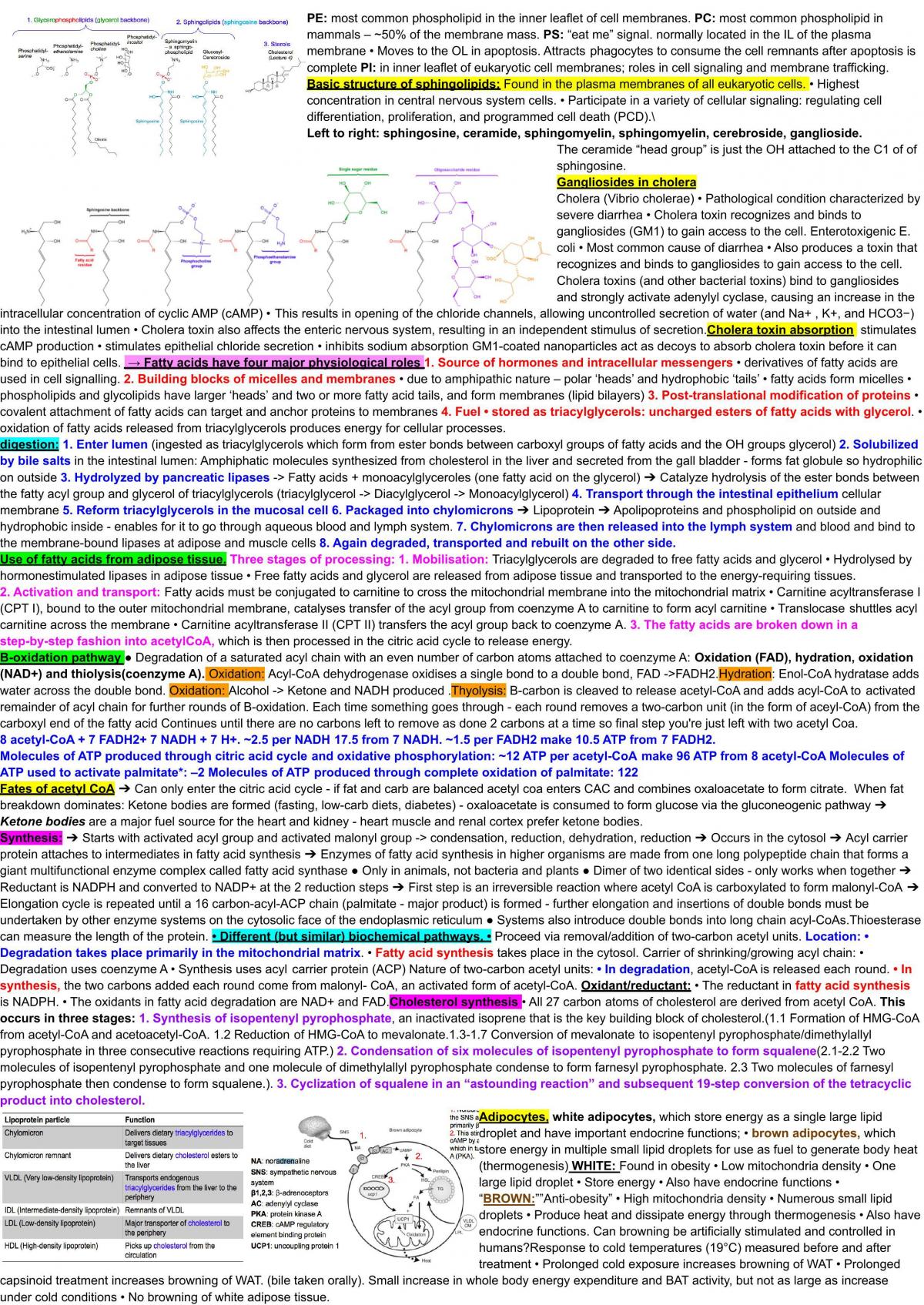 BIOSCI 106 Notes - Page 44