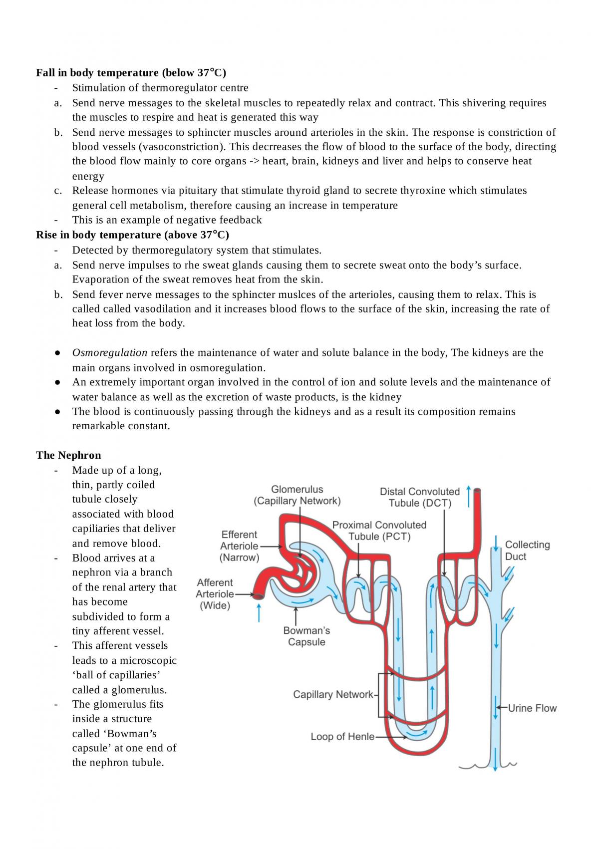 Stage 2 biology complete notes  - Page 36