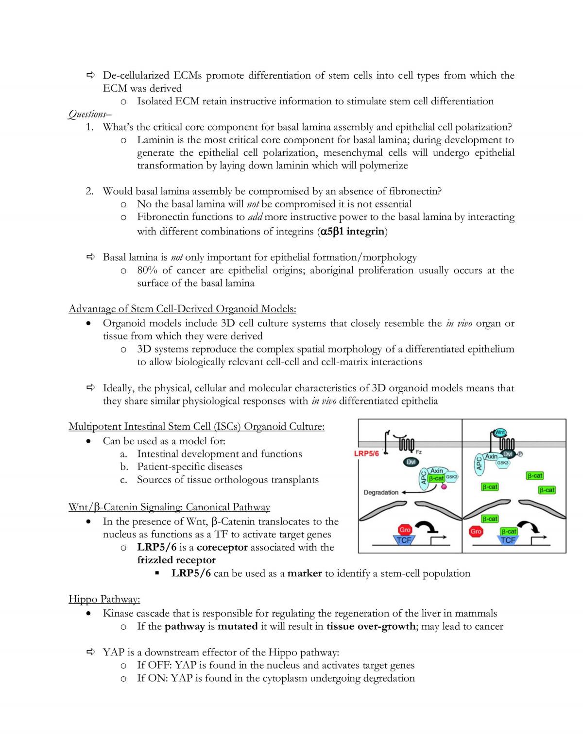 Stem Cell Biology: Developmental Models and Cell-based Therapeutics Comprehensive Study Guide - Page 30