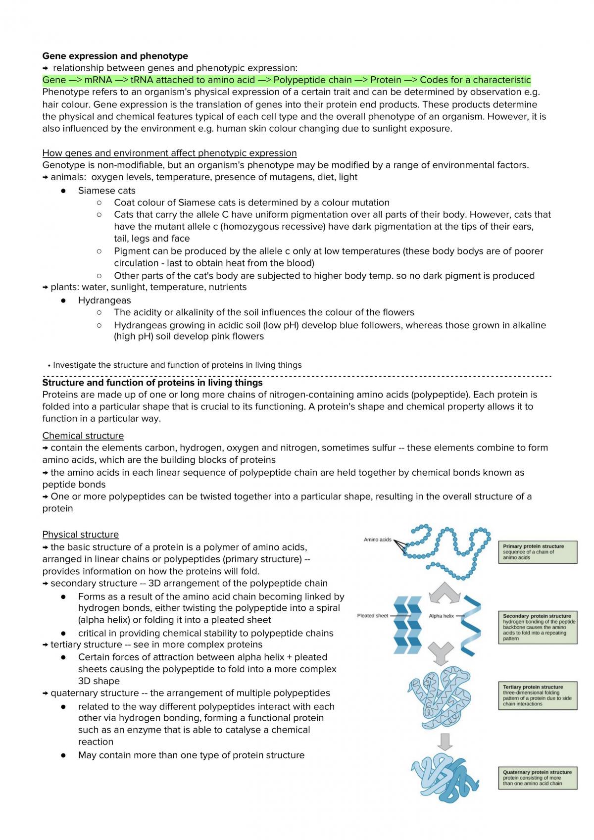 Module 5: Heredity  - Page 17