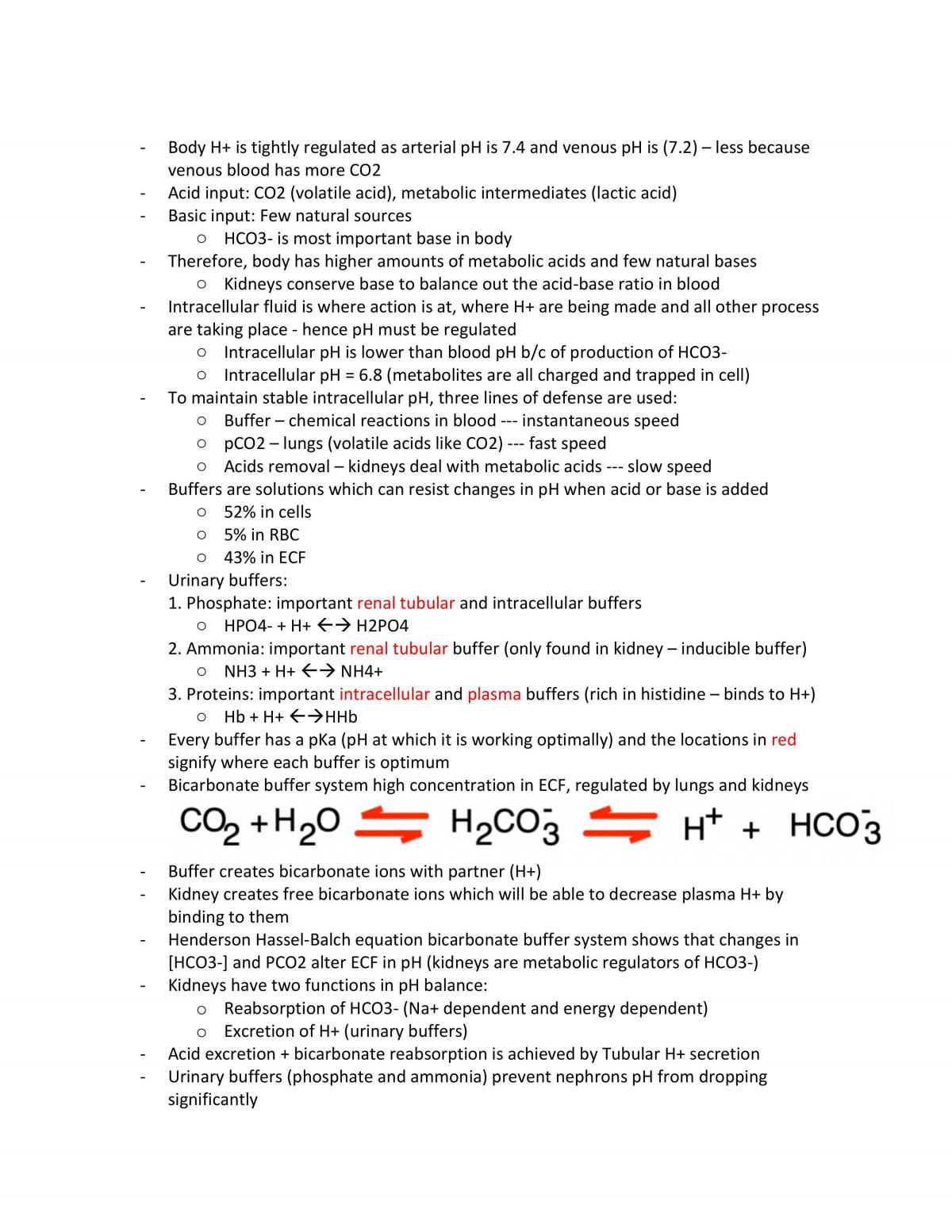 Renal system notes - Page 20