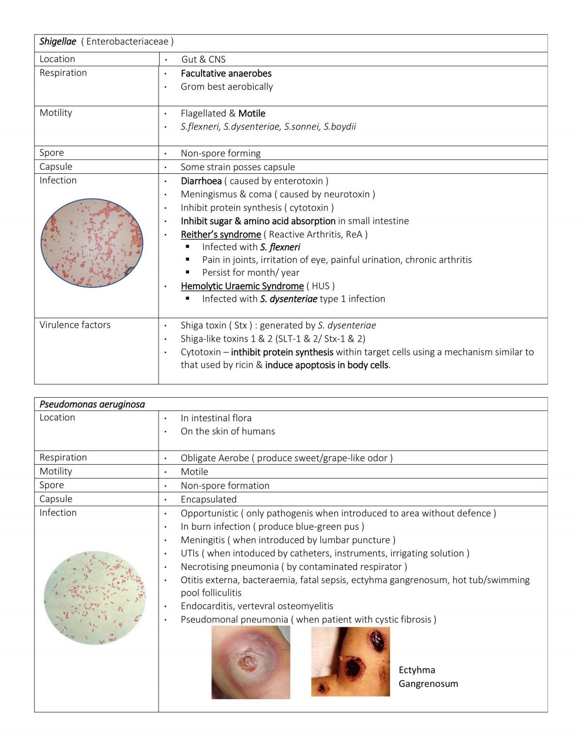 Basic Microbiology  - Page 18