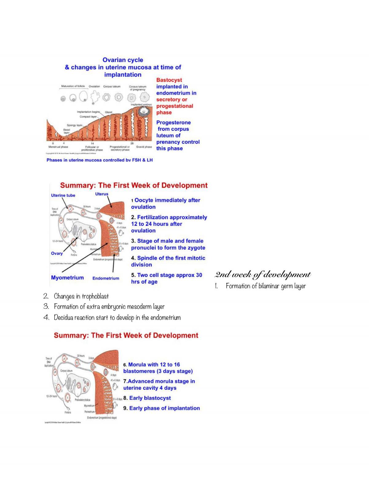 Basic Medical Sciences: Anatomy Notes - Page 60
