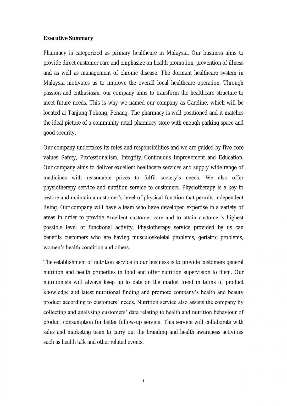 Business Plan - Page 3