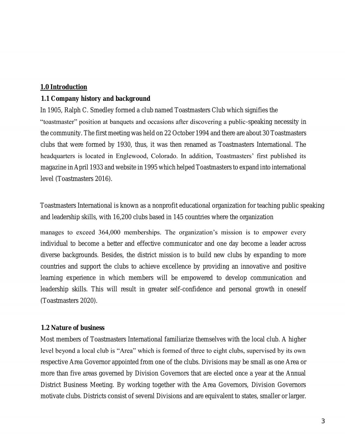 Management Information Systems Assignment - Page 3