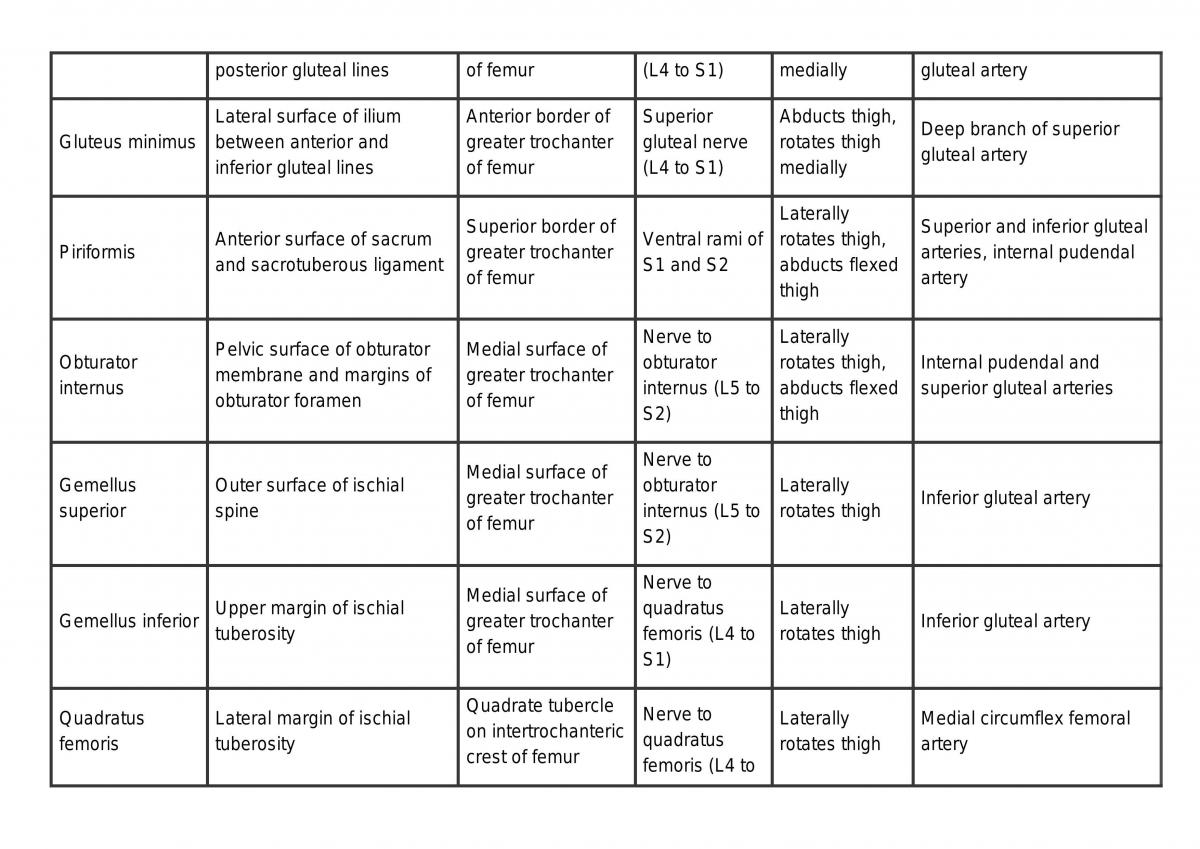 Upper and lower limb anatomy - Page 21