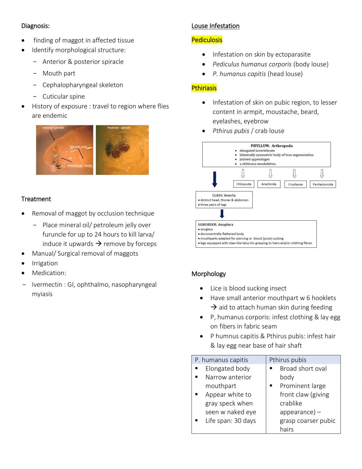 Basic Musculoskeletal Notes - Page 17