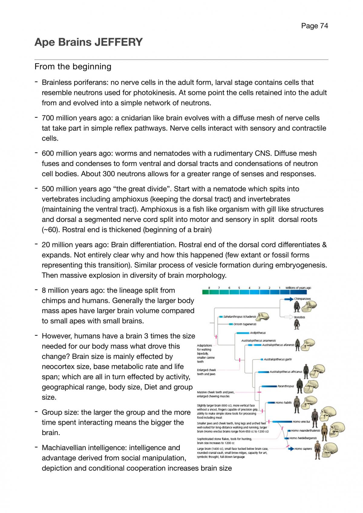 LIFE103 Evolution complete study notes - Page 74
