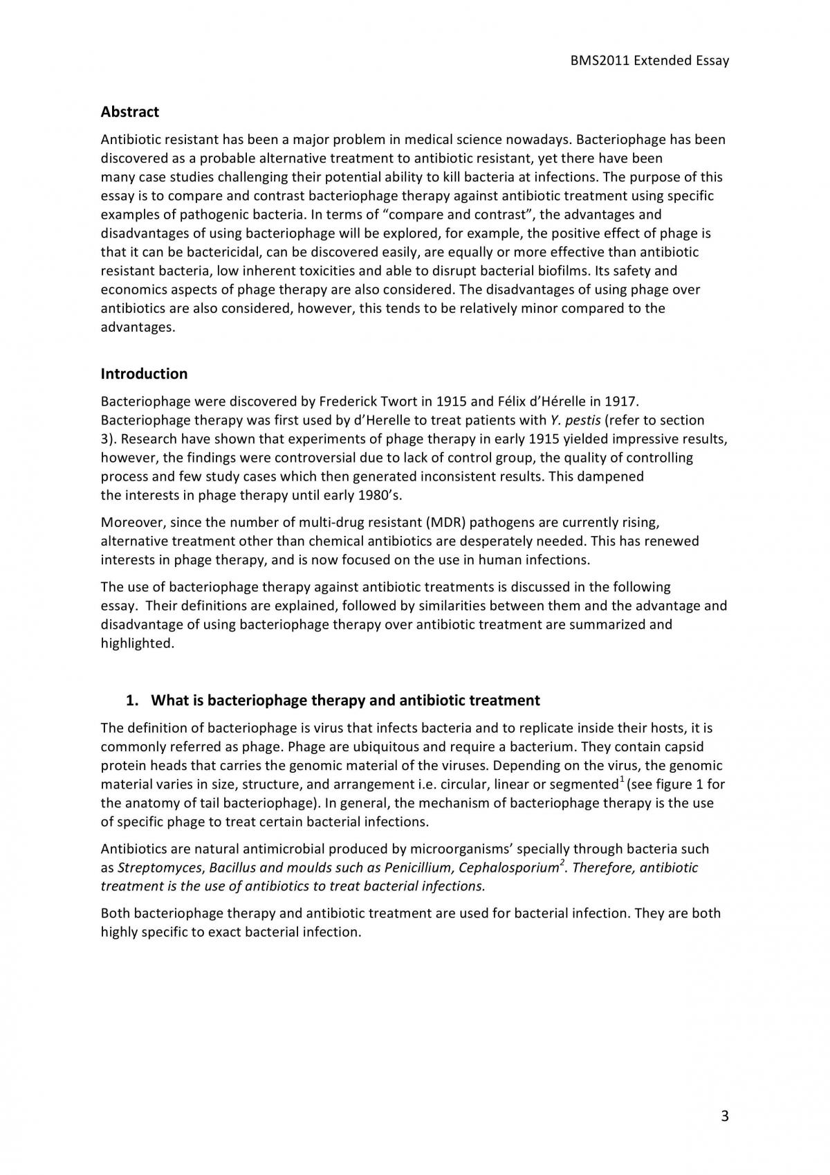Extended essay - Page 3