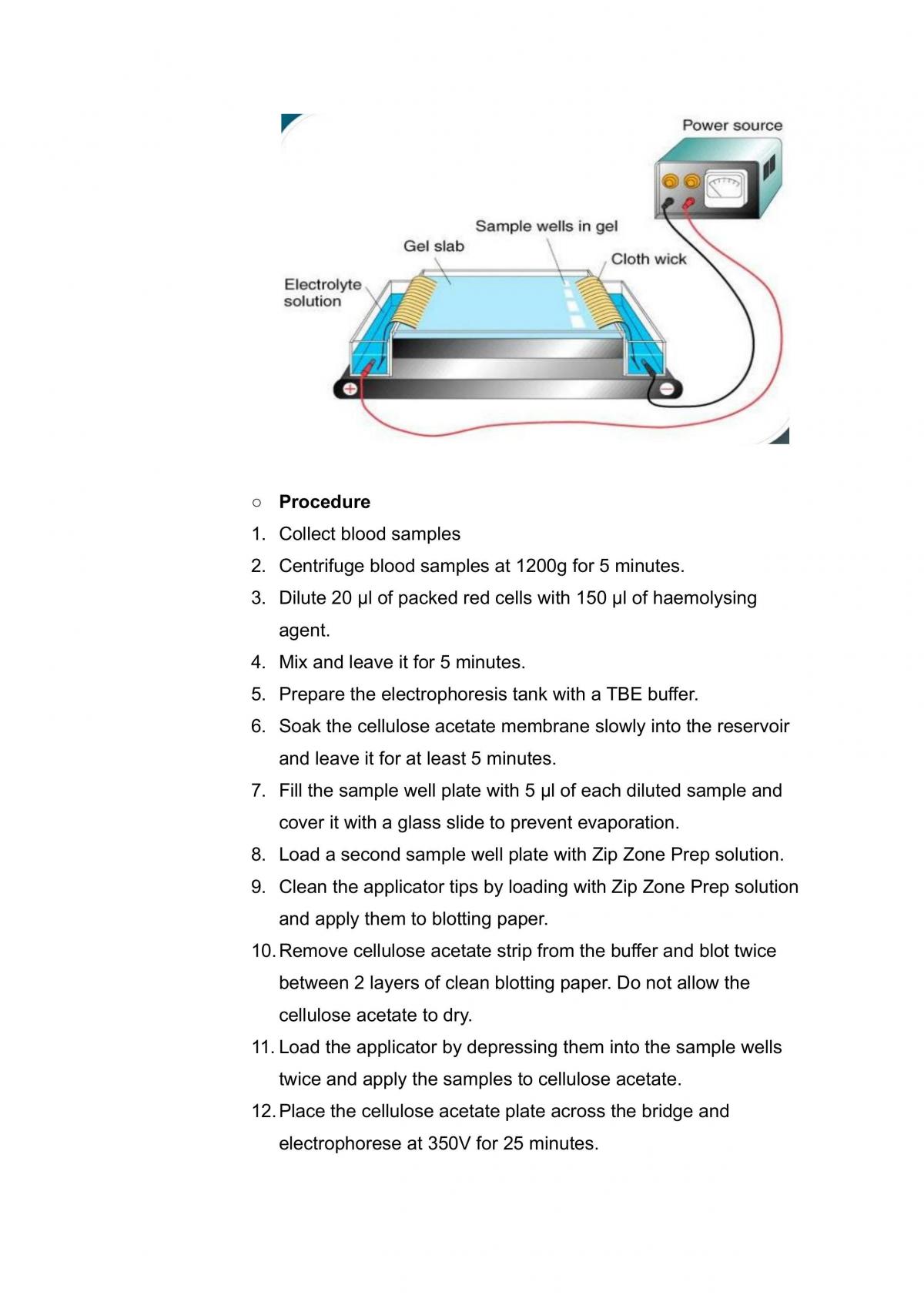 Thalassemia Notes - Page 19