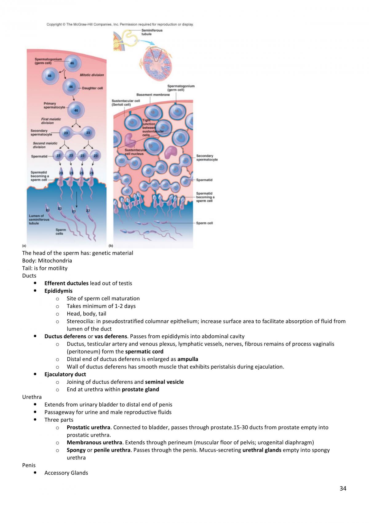 BMS162 Second Session Study Notes - Page 34