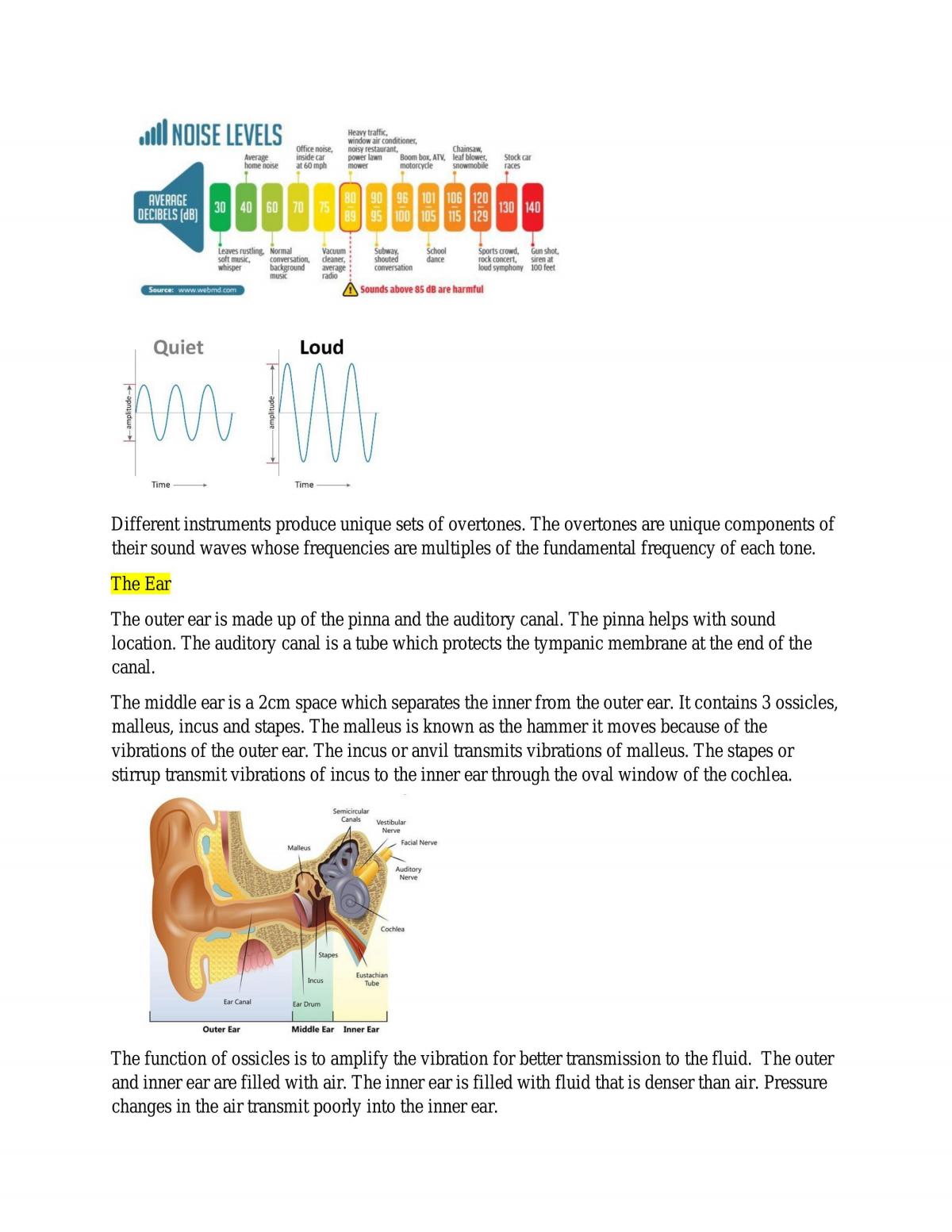 Complete study notes for Sensation and Perception - Page 19