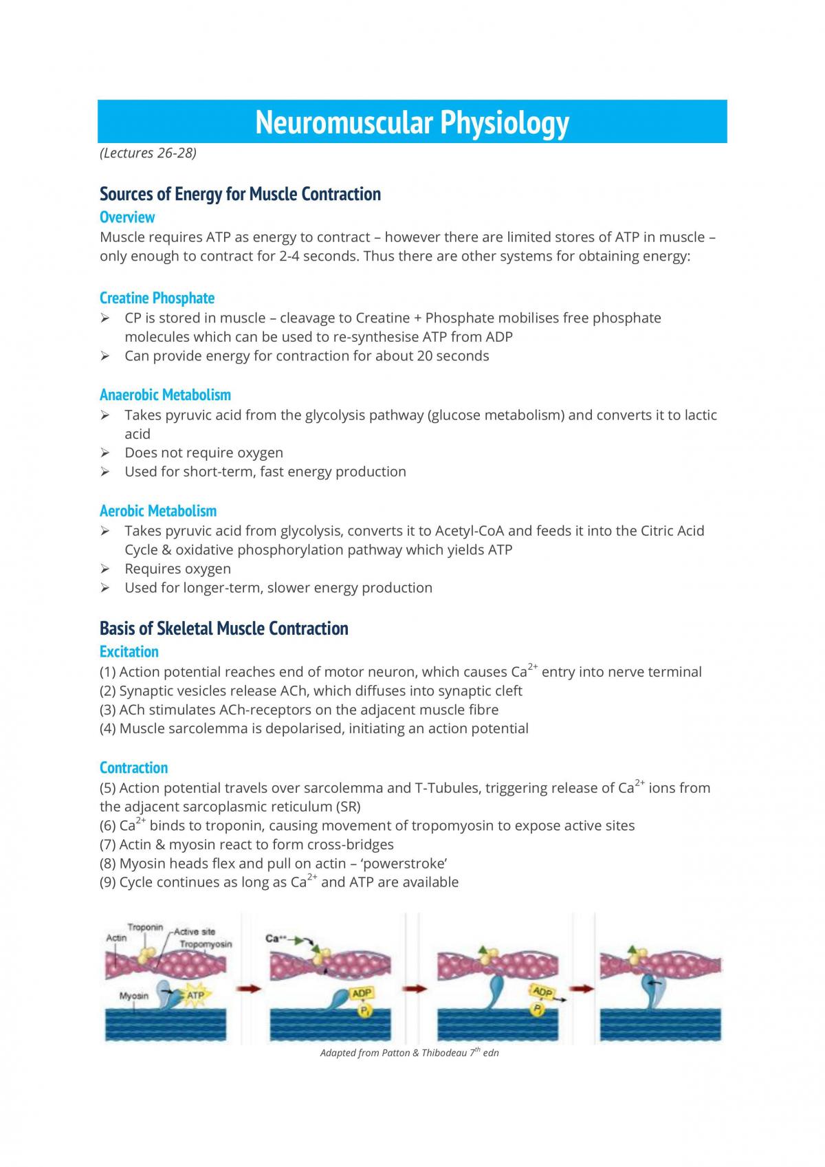 HUBS 191 Full Notes - Page 28