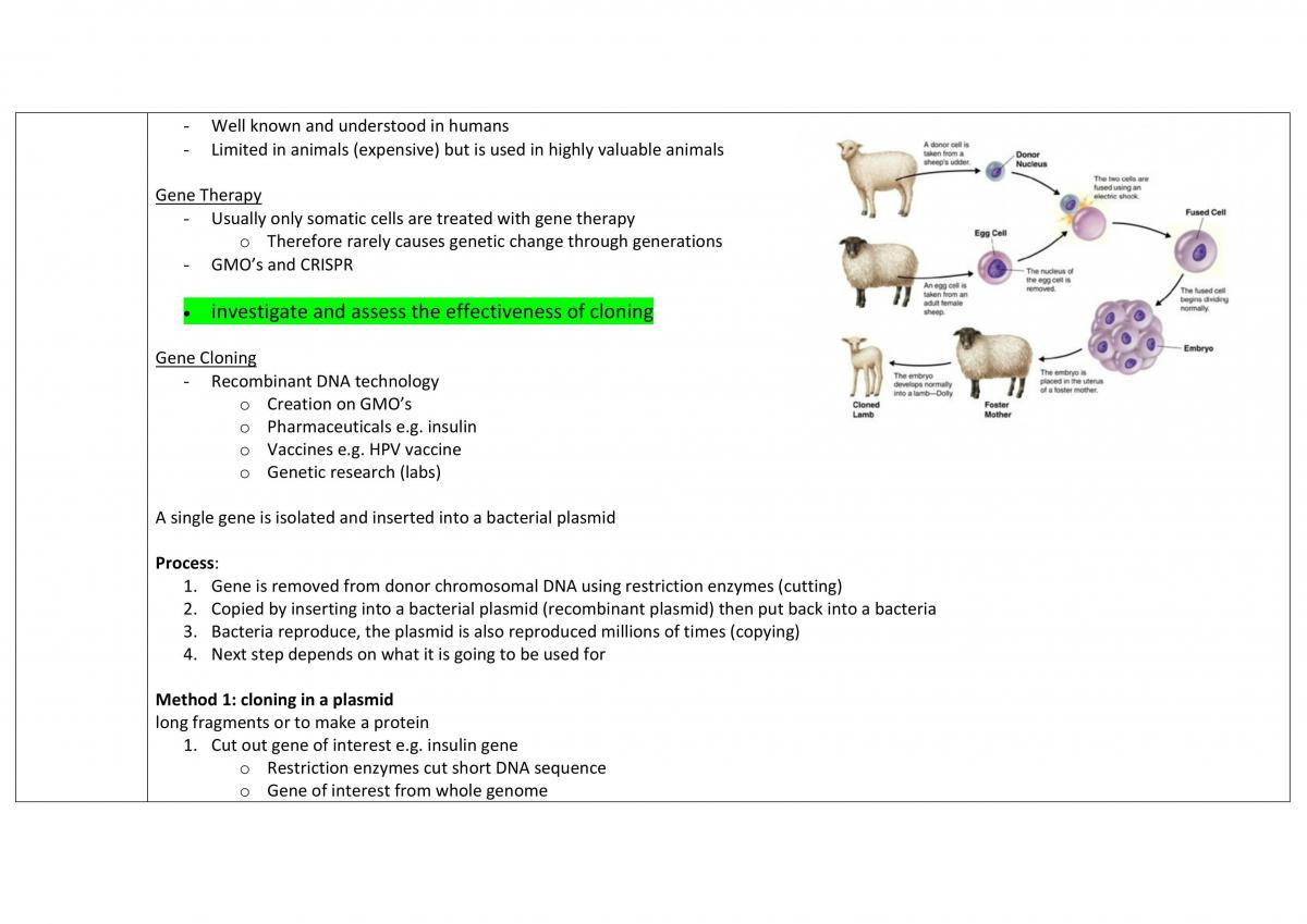 Module 6 Biology Summary - Page 17
