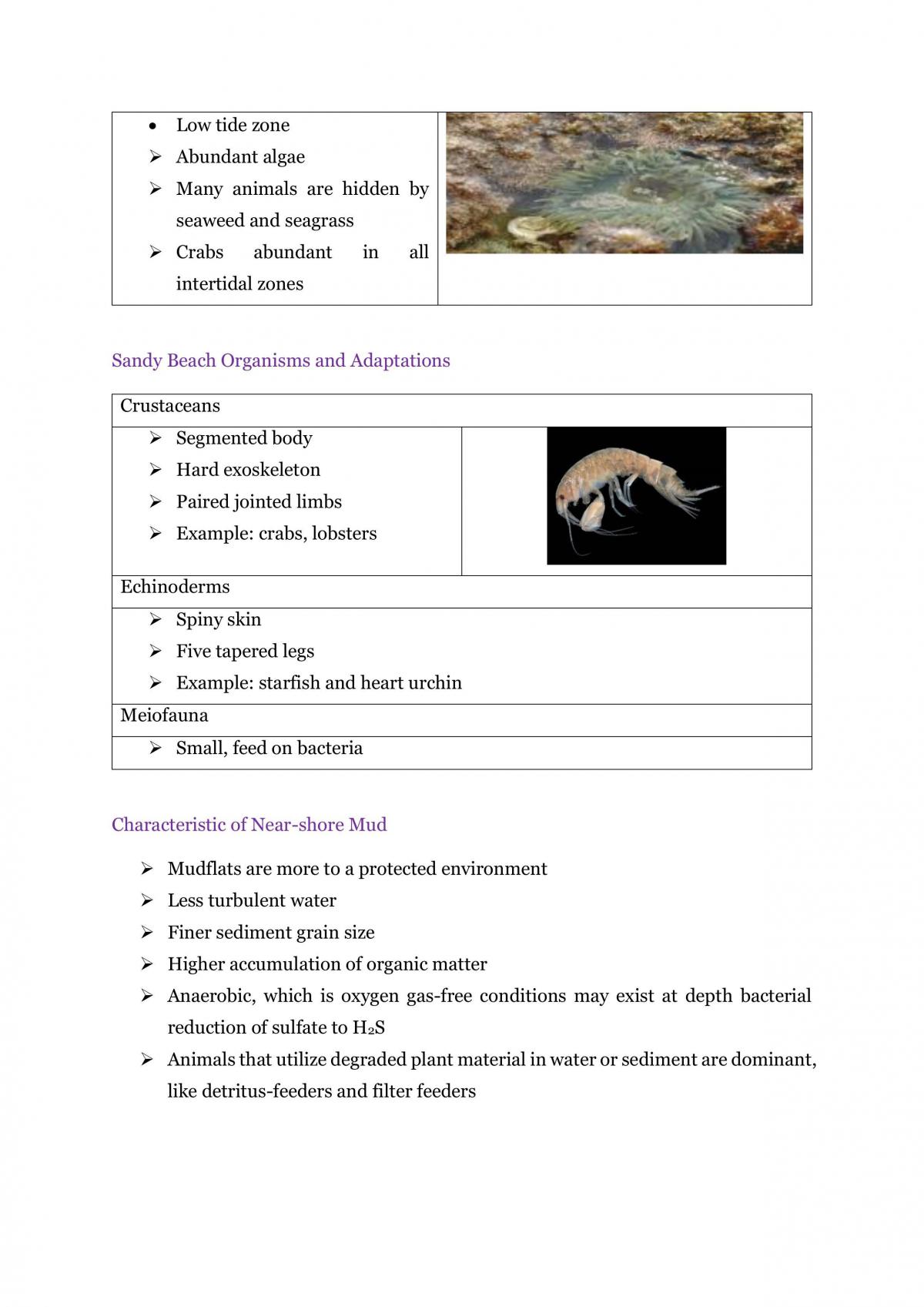 Study Notes for Biological Oceanography - Page 30