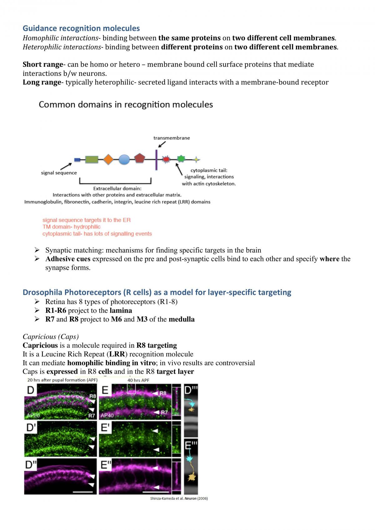 Exam Study Notes - Page 36