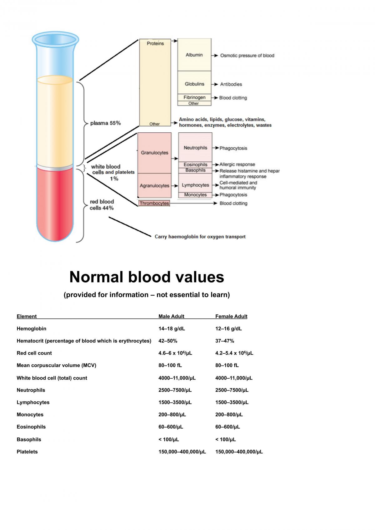 Pathophysiology weeks 1-4 notes  (all notes for first exam) - Page 72